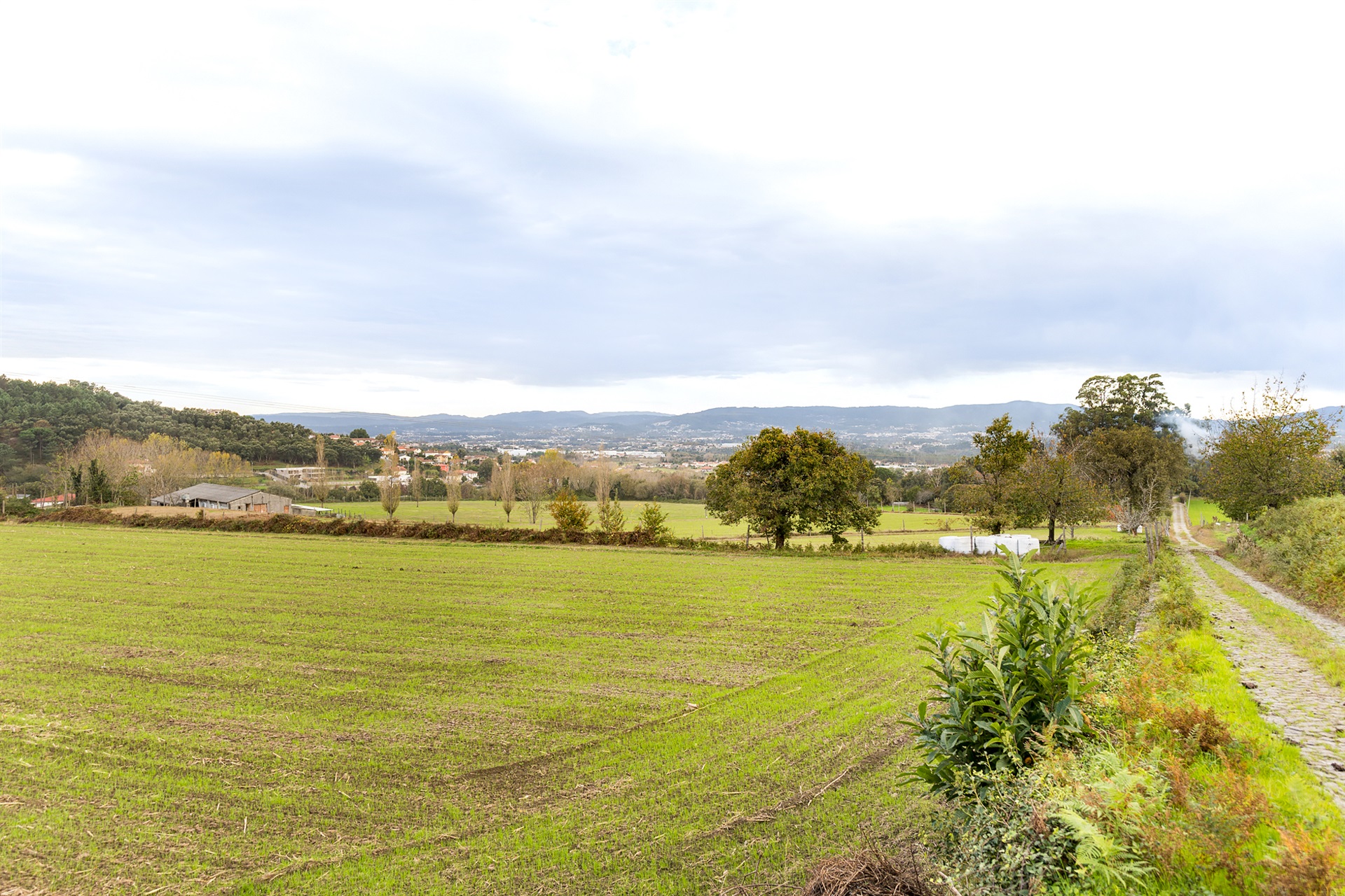  Farm, 6 bedrooms, for Sale - 物件實景