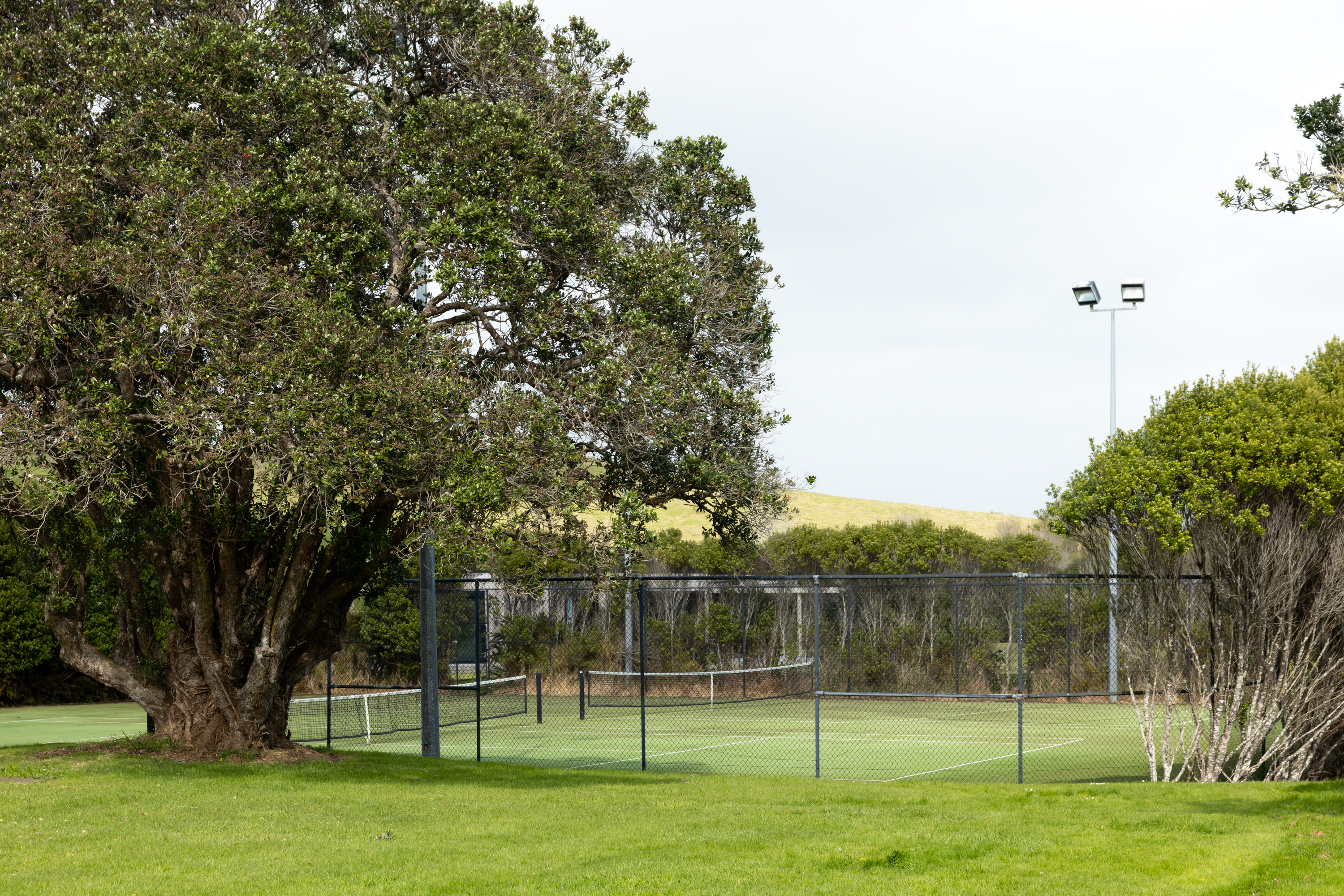  24 Tangaroa Road, Mangawhai Heads, Mangawhai - 物件實景