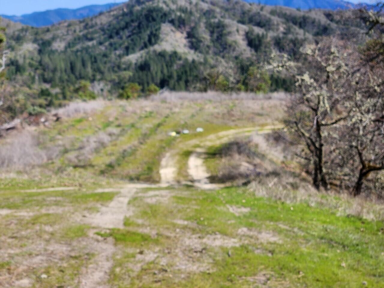 Grants Pass, Oregon, 97526, United States, 3 Bedrooms Bedrooms, ,2 BathroomsBathrooms,Residential,For Sale,1982829