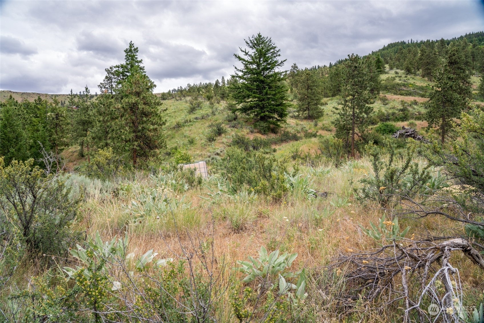 Wenatchee, Washington, 98801, United States, ,Land,For Sale,1690373