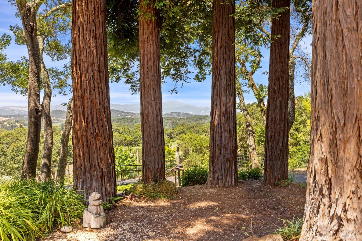 Napa, California, 94558, United States, 3 Bedrooms Bedrooms, ,2 BathroomsBathrooms,Residential,For Sale,1991409