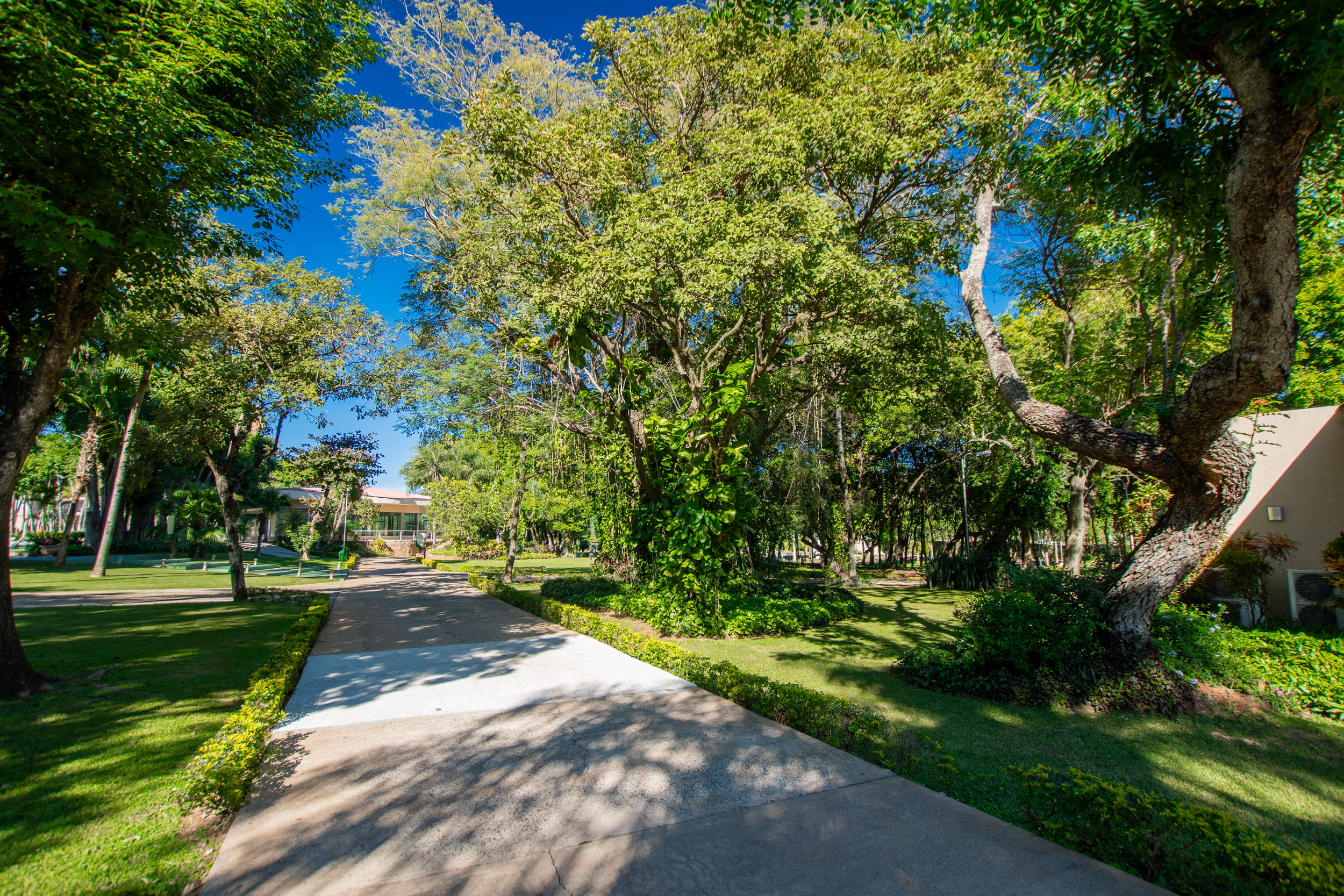  Exclusive Lot in the Gated Community of Rakiura Country - 物件實景
