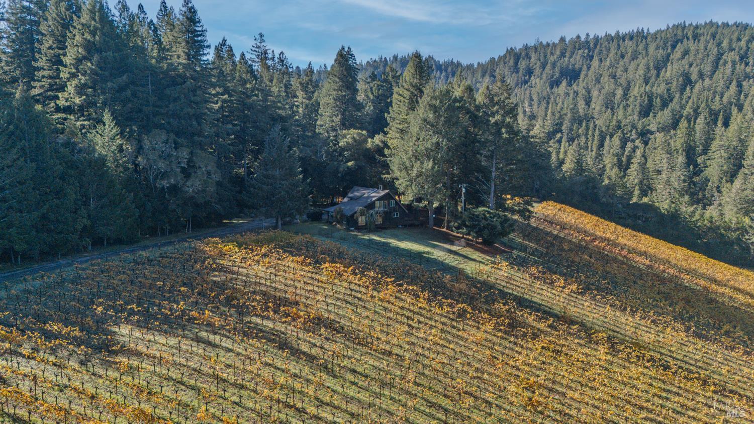 Philo, California, 95466, United States, 3 Bedrooms Bedrooms, ,3 BathroomsBathrooms,Residential,For Sale,1987364