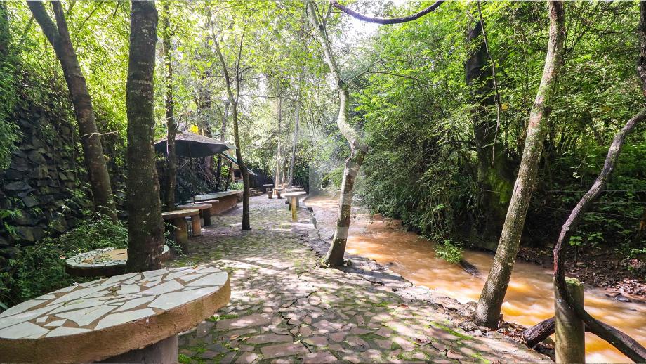 Danubio, Charo, Michoacán de Ocampo, 61311, Mexico, 1 Bedroom Bedrooms, ,Residential,For Sale,Danubio,1625142