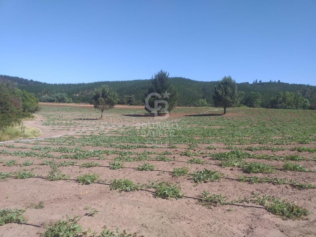 Portezuelo, Chile, 4 Bedrooms Bedrooms, ,2 BathroomsBathrooms,Residential,For Sale,1758826