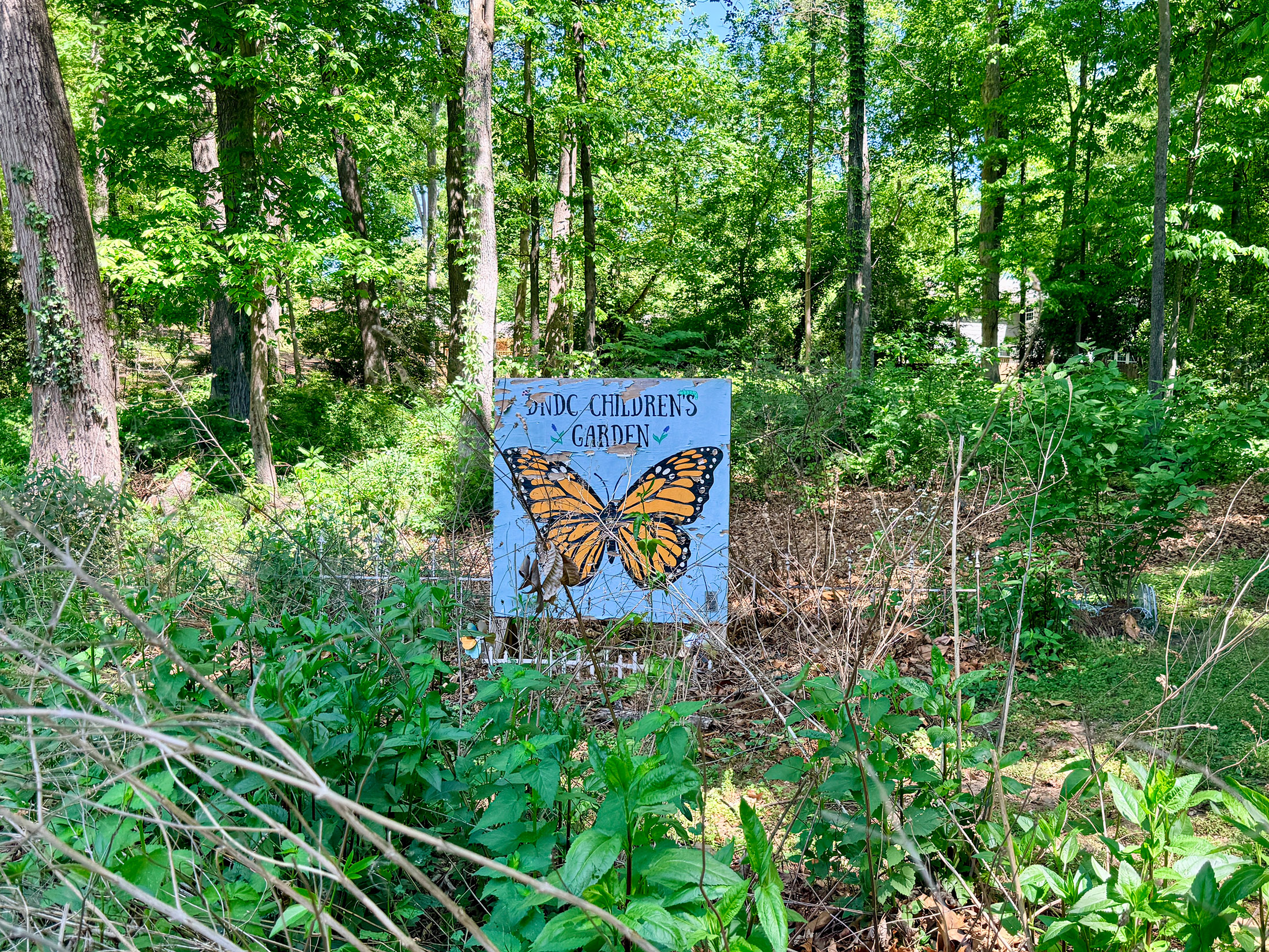  Standout Home in the Beloved Dunwoody North Neighborhood - 物件實景