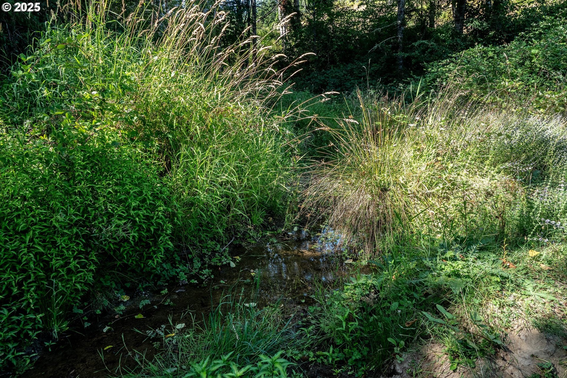 Myrtle Point, Oregon, 97458, United States, 3 Bedrooms Bedrooms, ,3 BathroomsBathrooms,Residential,For Sale,1975614