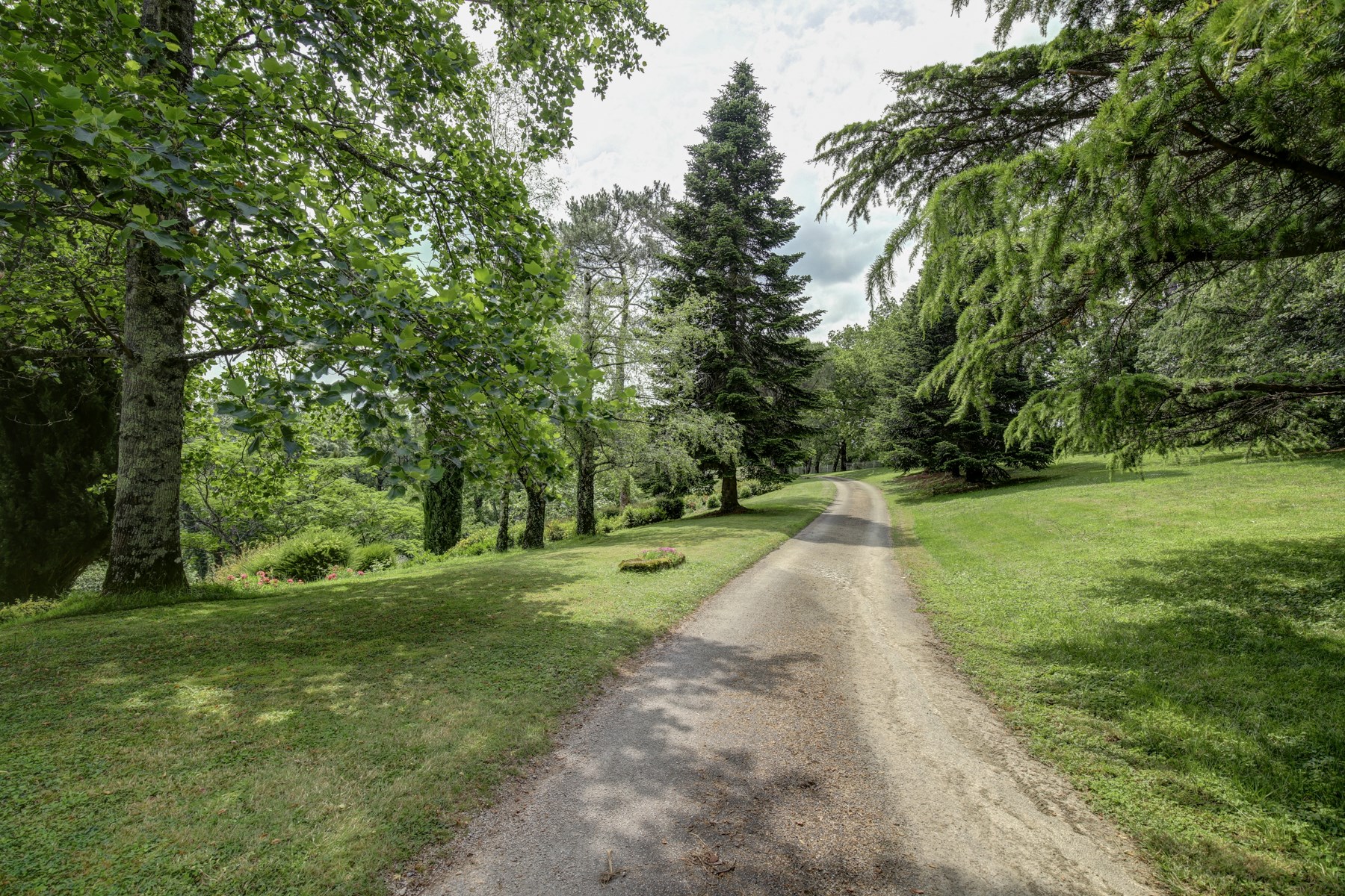  CASTRES: Magnificent family home with over 350 m² of living space - 物件實景