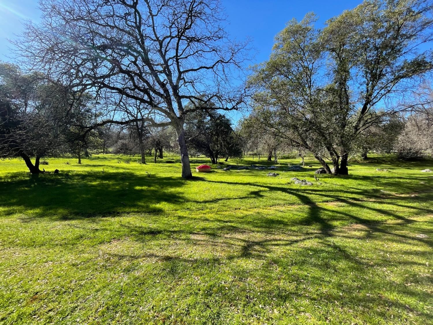 Vallecito, California, 95251, United States, ,Land,For Sale,1980651