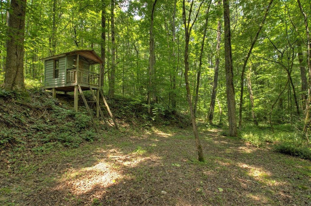 Talking Rock, Georgia, 30175, United States, 5 Bedrooms Bedrooms, ,4 BathroomsBathrooms,Residential,For Sale,1848832