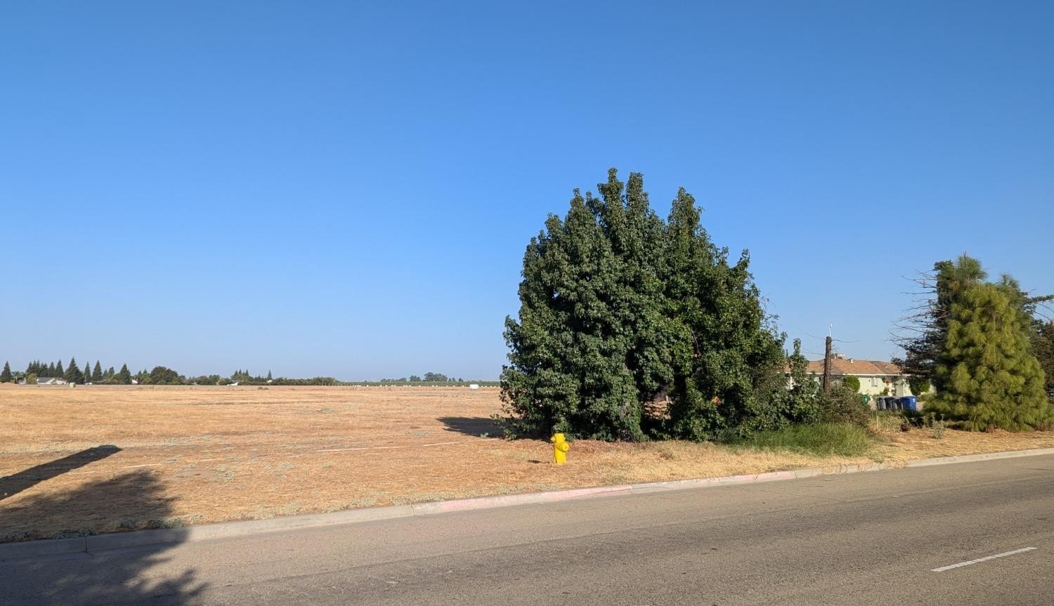 Sanger, California, 93657, United States, ,Residential,For Sale,1977653