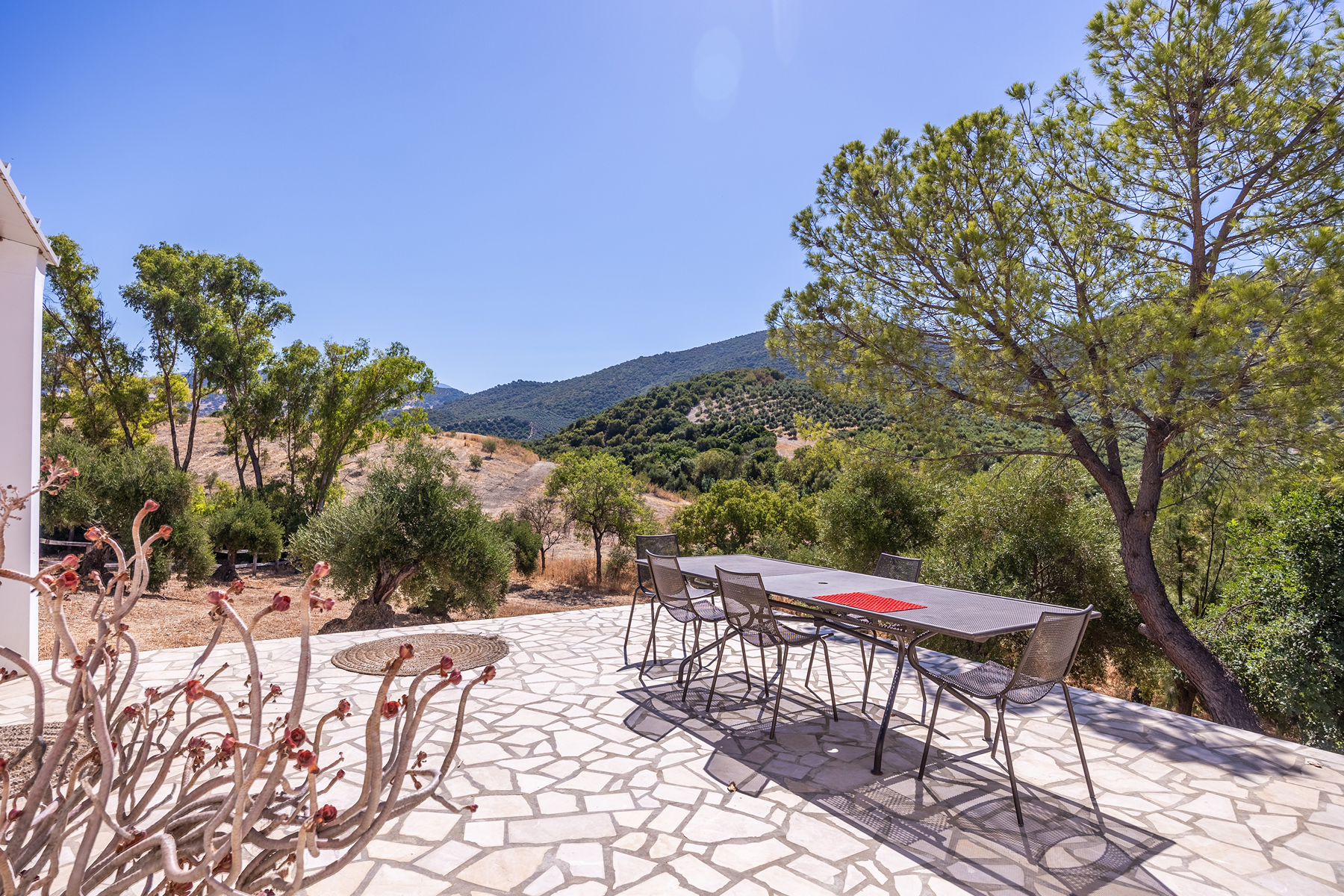  Country house in the province of Cádiz - 物件實景