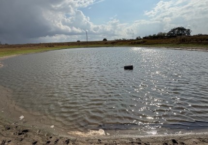 Runge, Texas, 78151, United States, 3 Bedrooms Bedrooms, ,2 BathroomsBathrooms,Residential,For Sale,1996621