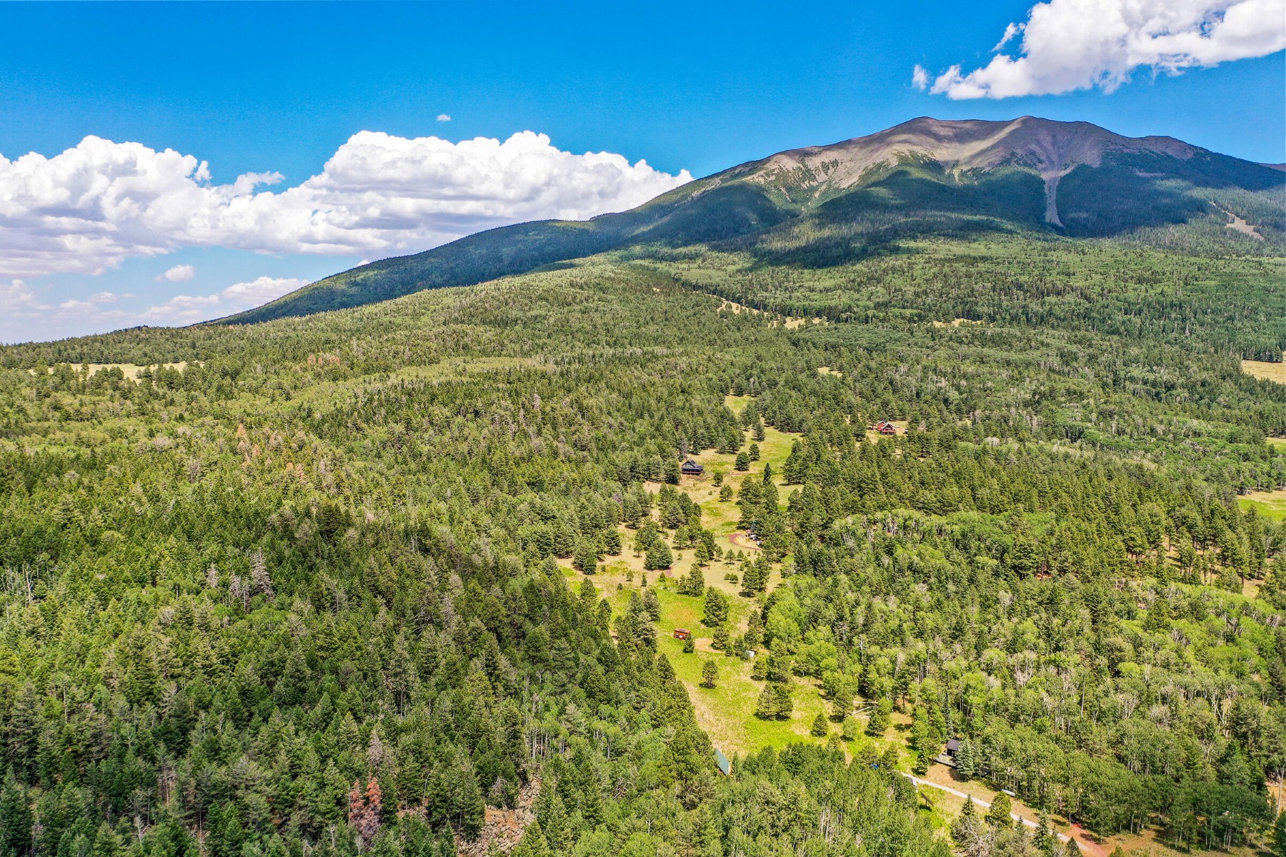  17787 N Forest Service 9004t Road ¦ Flagstaff, AZ - 物件實景