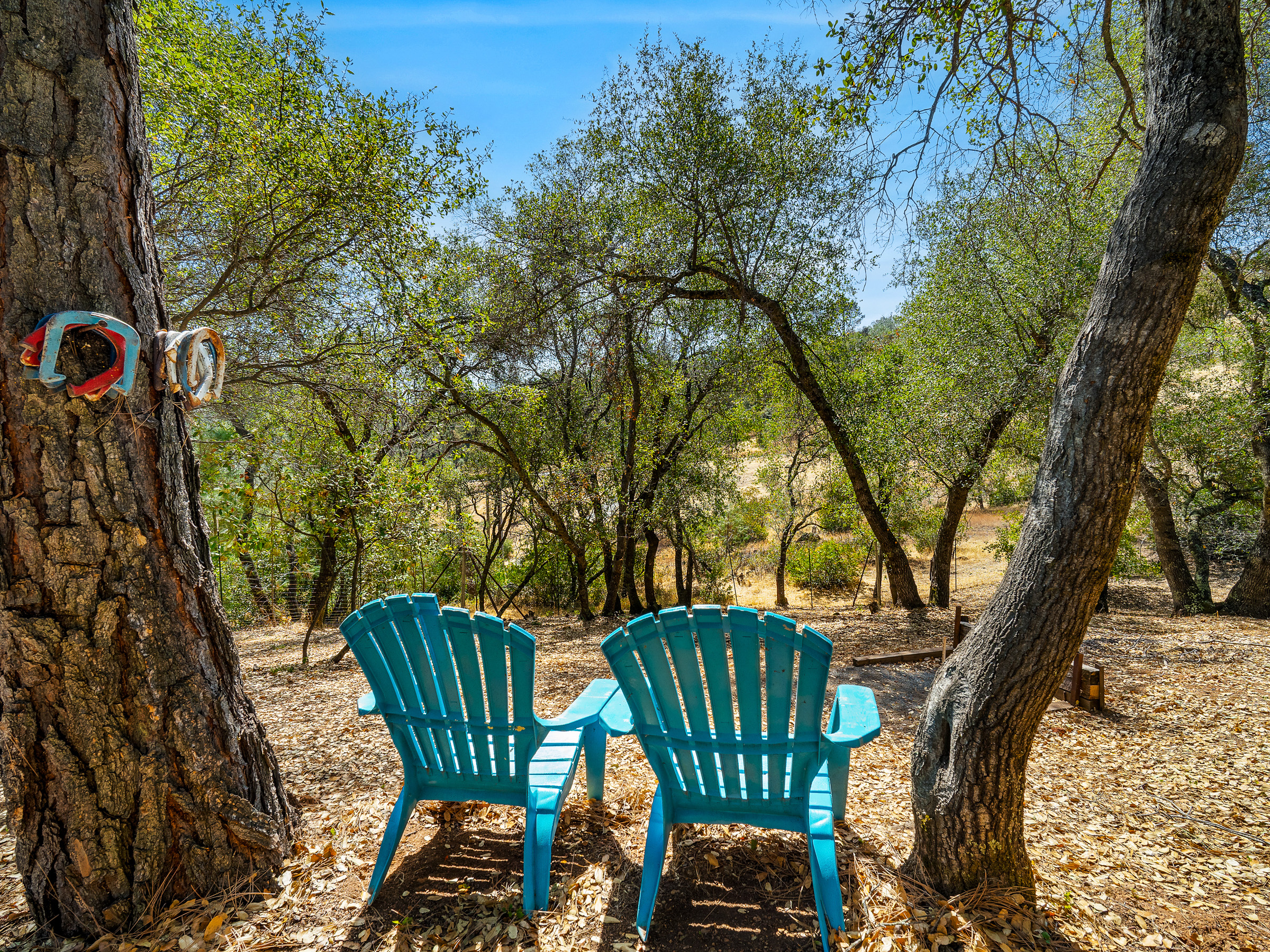  4711 Meadowview Acres Road, Cool, CA 95614 - 物件實景