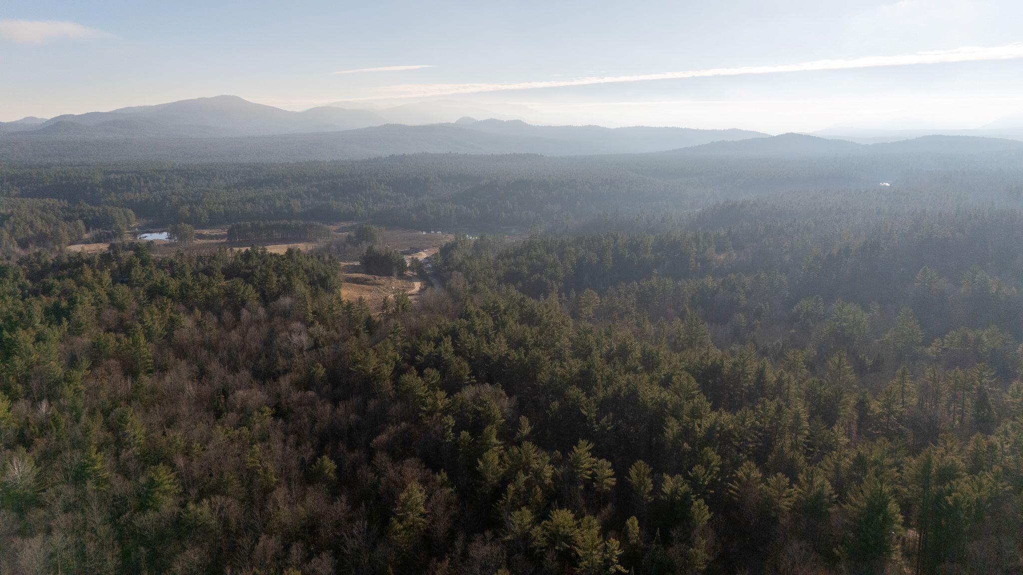 358 Buck Hill Road, Black Brook, New York, 12912, United States, ,Land,For Sale,358 Buck Hill Road,1668250