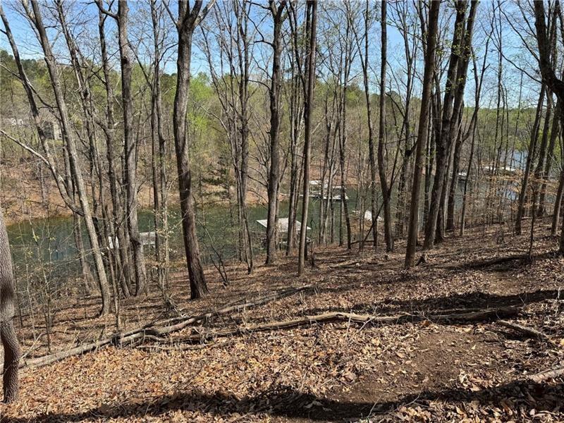 Gainesville, Georgia, 30506, United States, ,Land,For Sale,1992384