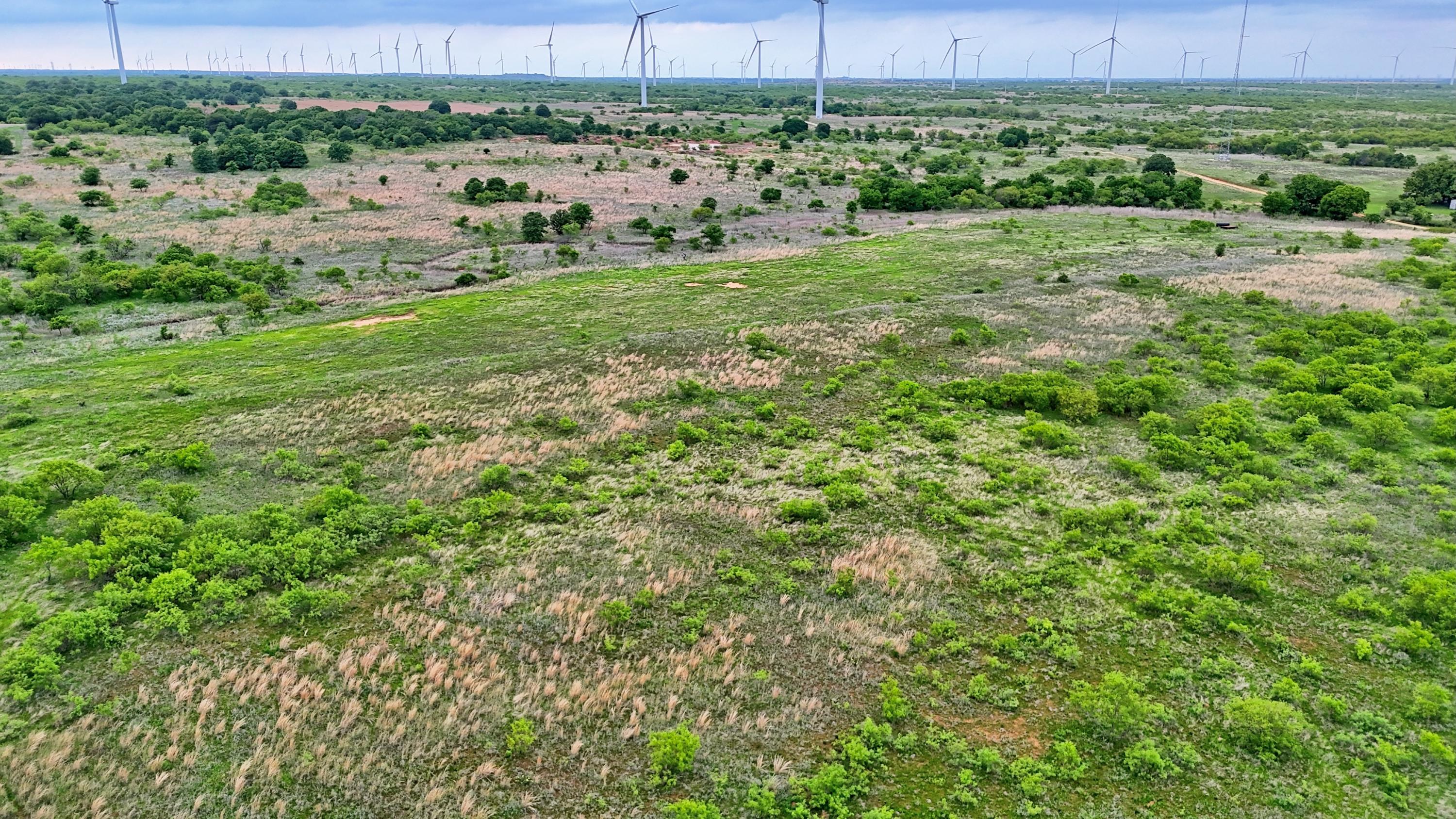  95 Acres in Clay County - 物件實景