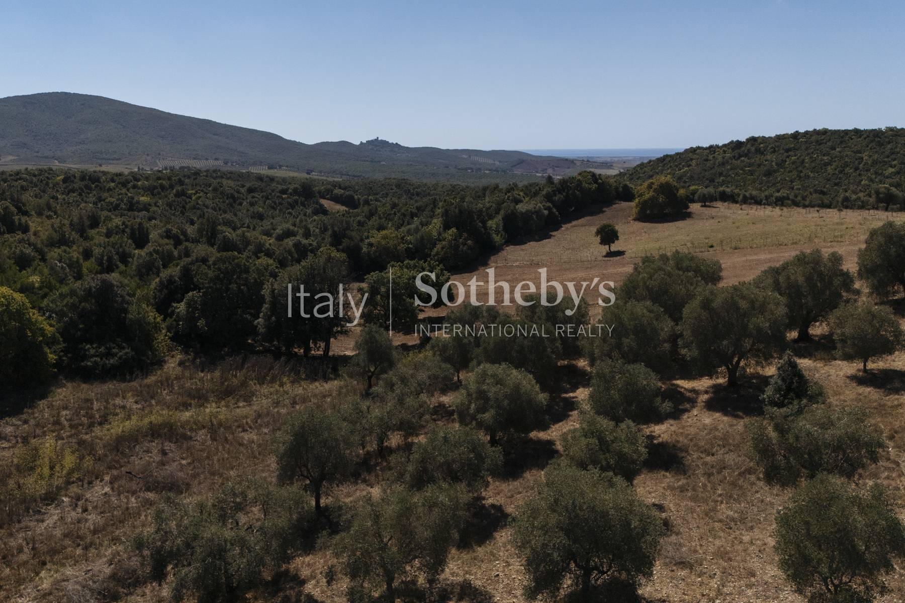  Tuscan farmhouse with outbuilding to restore - 物件實景