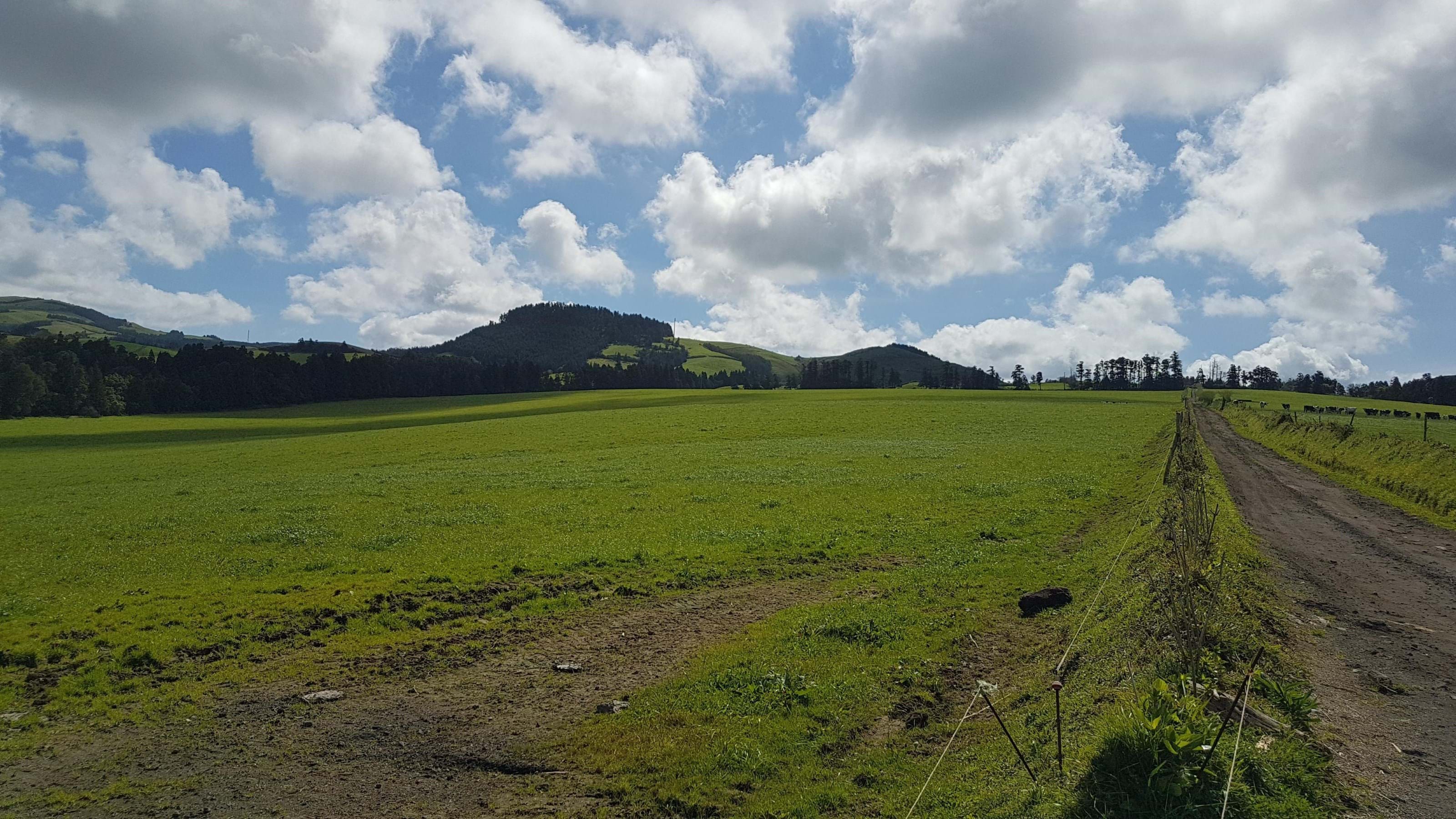 Ribeira Grande, Ilha de São Miguel, 9600, PT, ,Land,For Sale,1699985