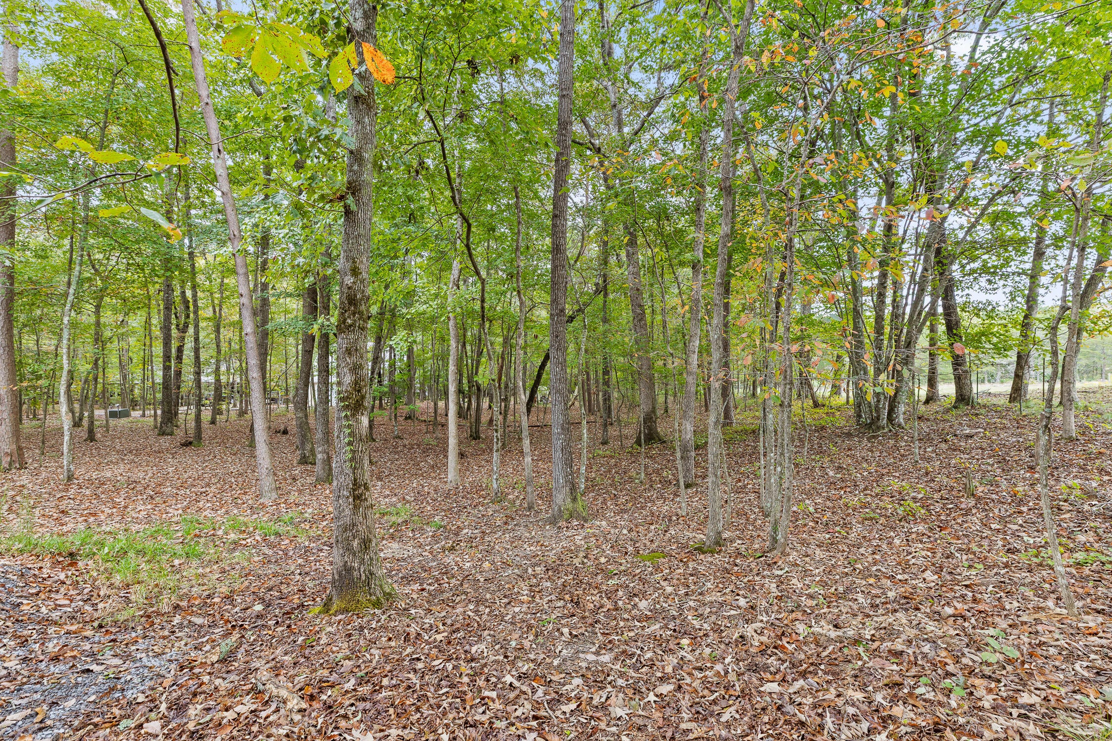 Mentone, Alabama, 35984, United States, 3 Bedrooms Bedrooms, ,2 BathroomsBathrooms,Residential,For Sale,1977298