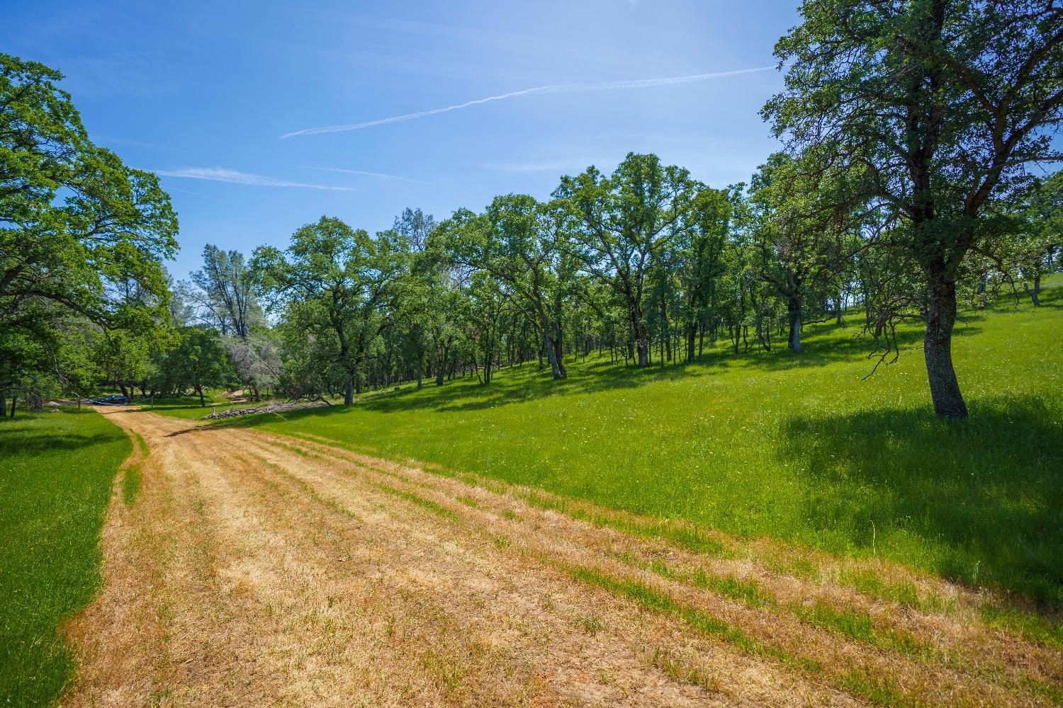 Lincoln, California, 95648, United States, ,Land,For Sale,1784125