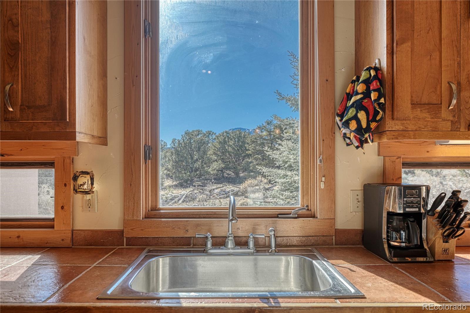 Salida, Colorado, 81201, United States, 4 Bedrooms Bedrooms, ,4 BathroomsBathrooms,Residential,For Sale,1975742