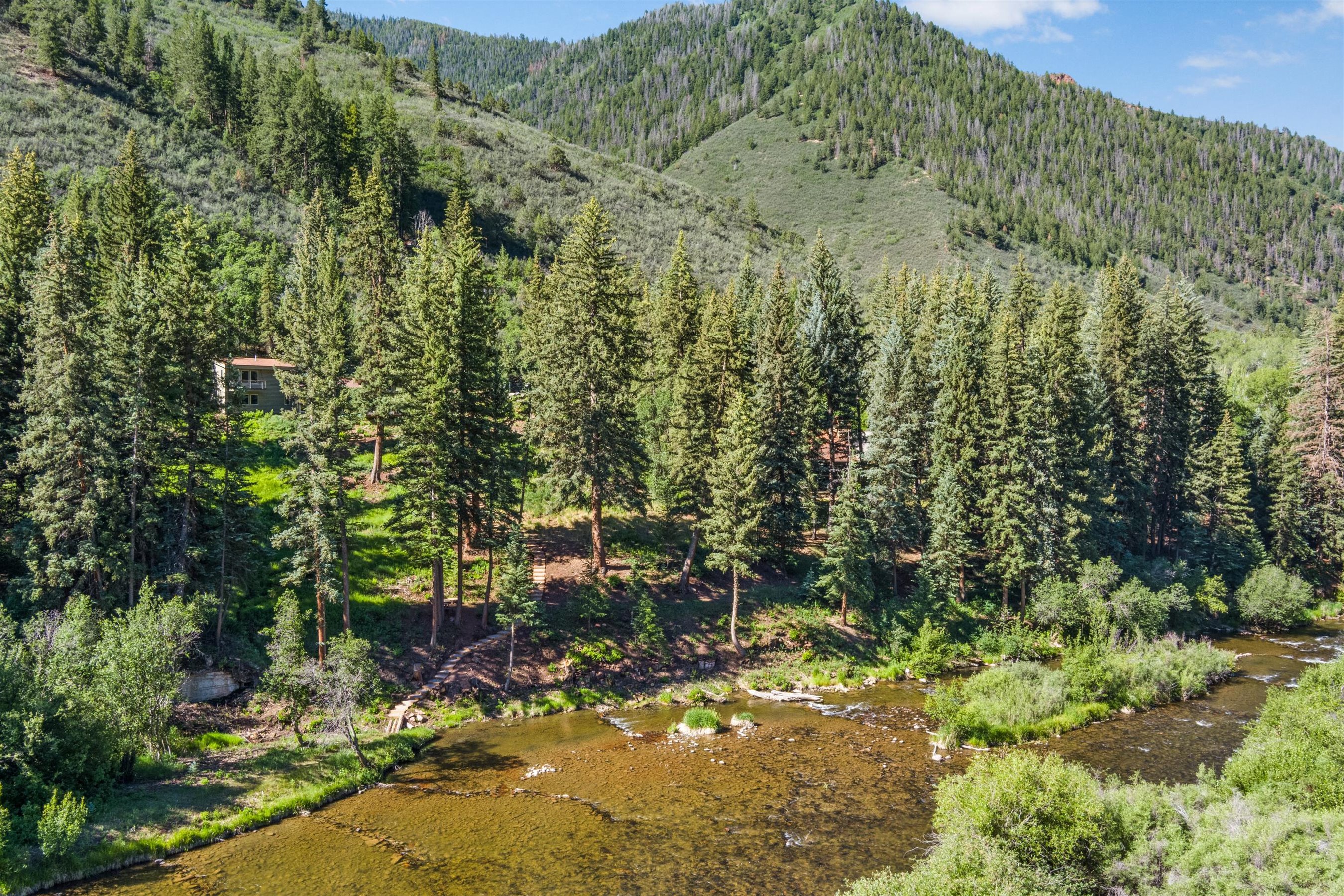  768 Kings Lake Road, Basalt, CO 81621 - 物件實景