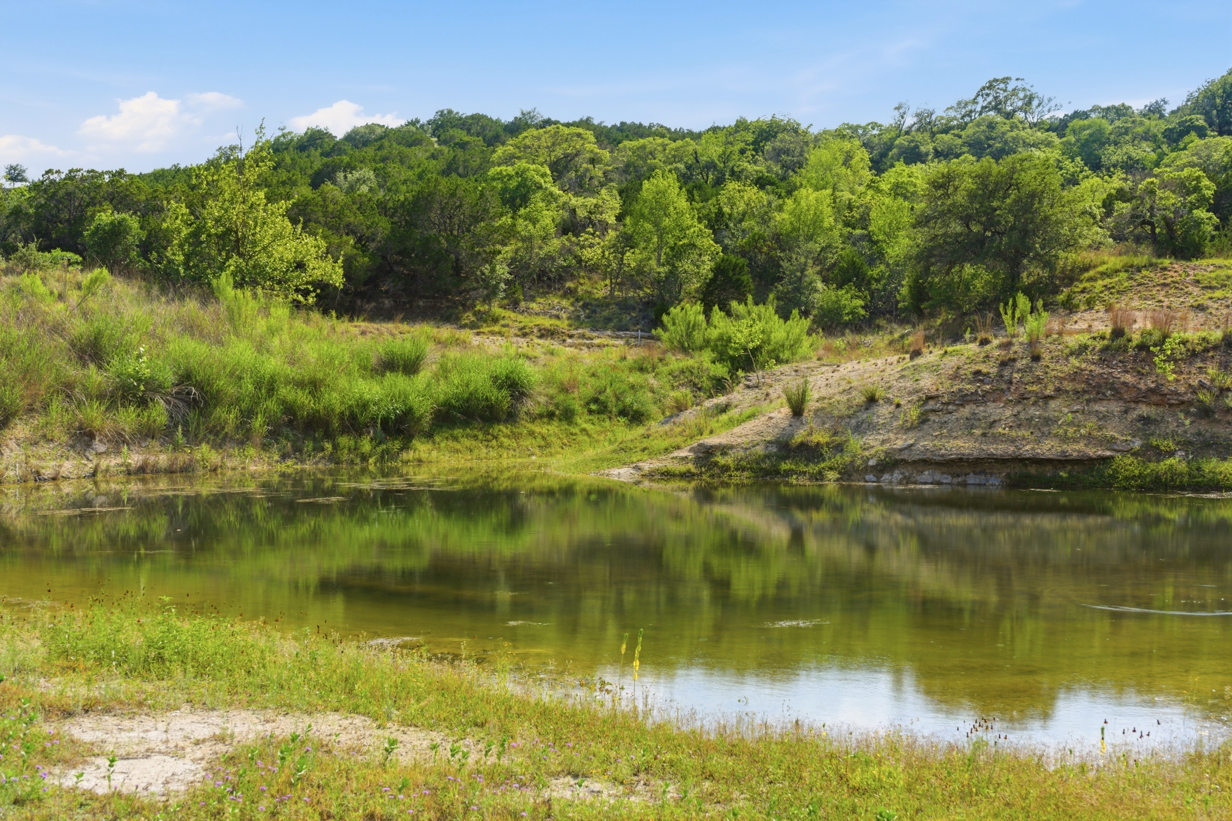  72+/- Acre Palmetto Creek Ranch - 物件實景