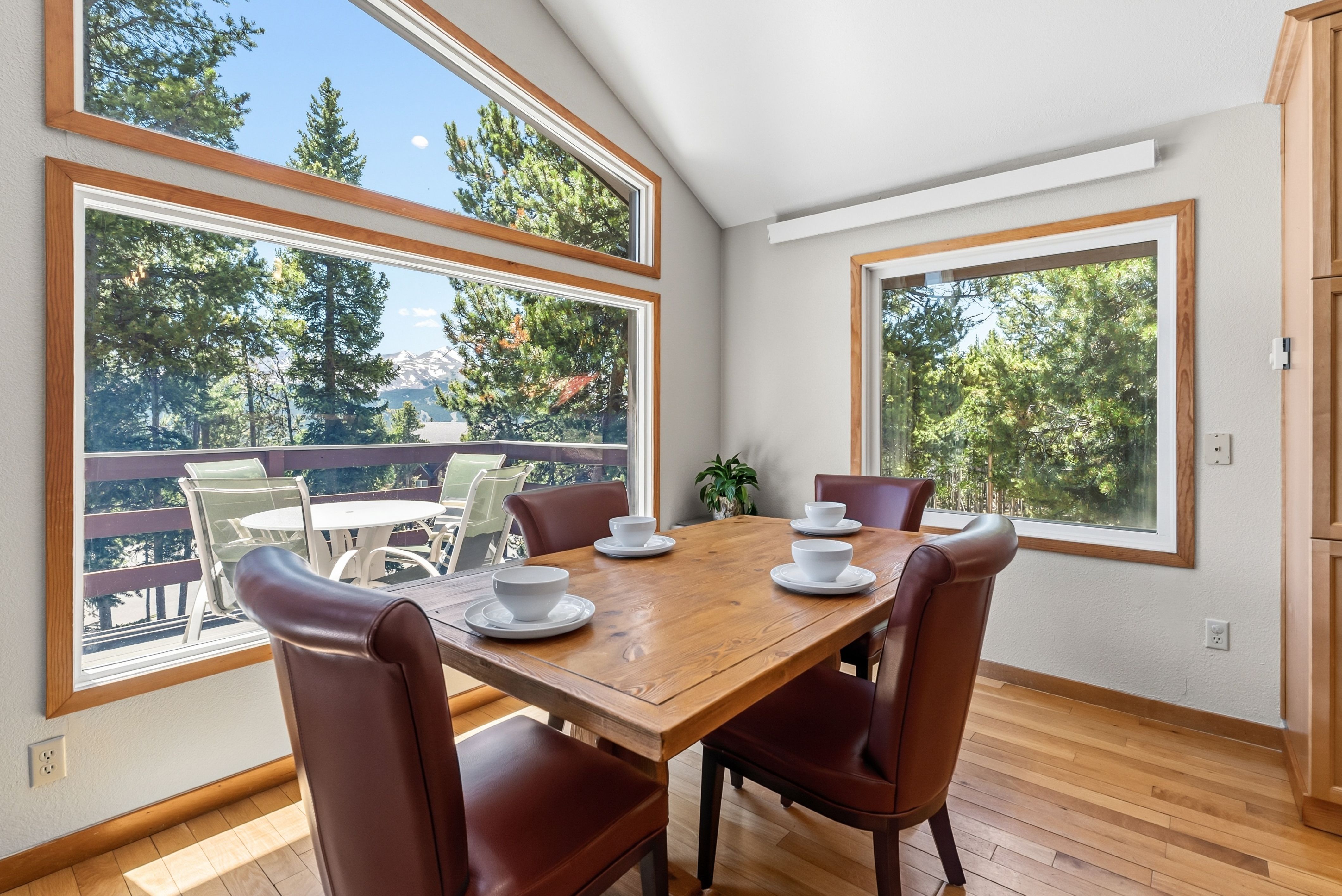  1233 Baldy Road, Breckenridge, CO 80424 - 物件實景