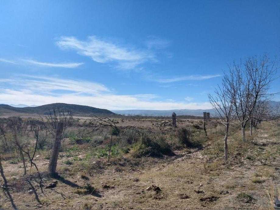KM 3 CARRETERA PARRAS A GENERAL CEPEDA, Parras, Coahuila de Zaragoza, 27987, Mexico, 1 Bedroom Bedrooms, ,Residential,For Sale,KM 3 CARRETERA PARRAS A GENERAL CEPEDA,1472261