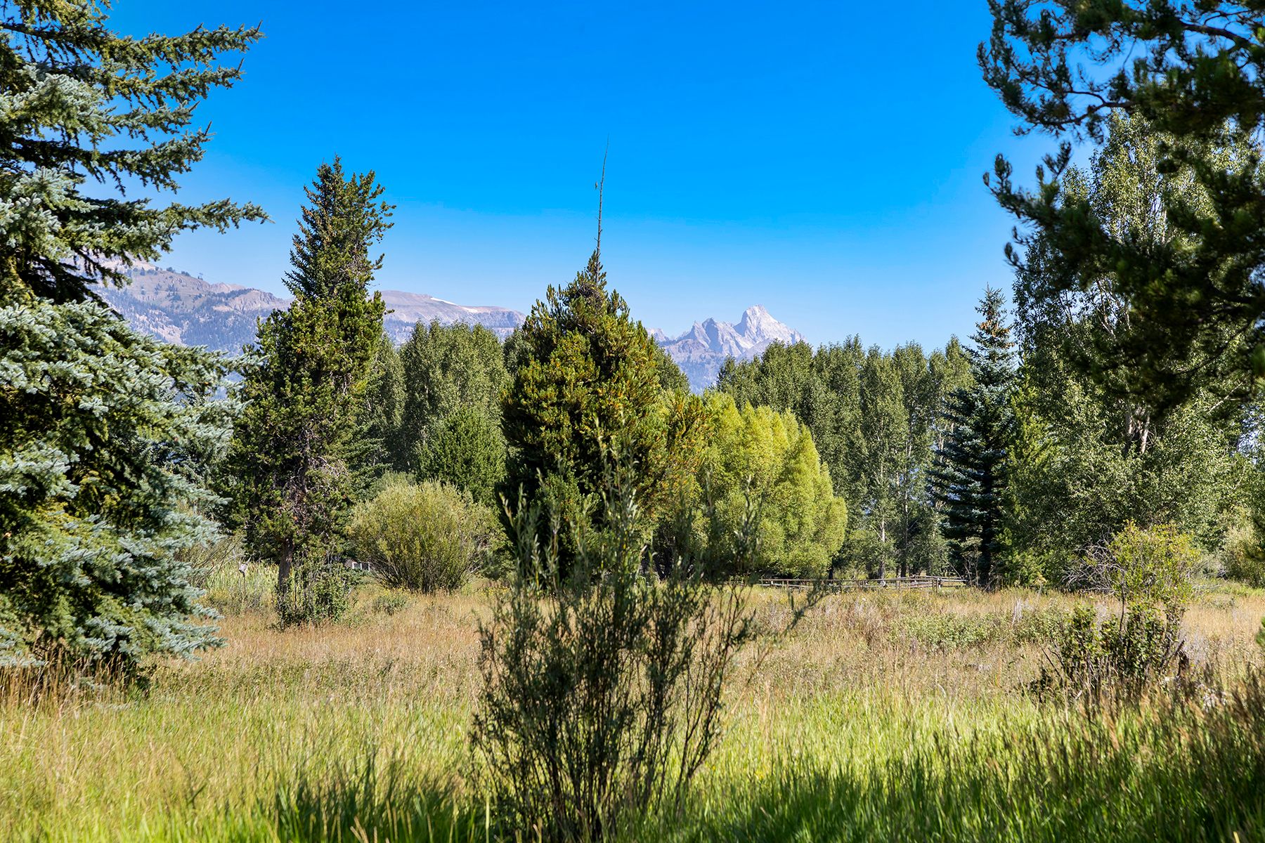  Pine Meadows Masterpiece - 物件實景