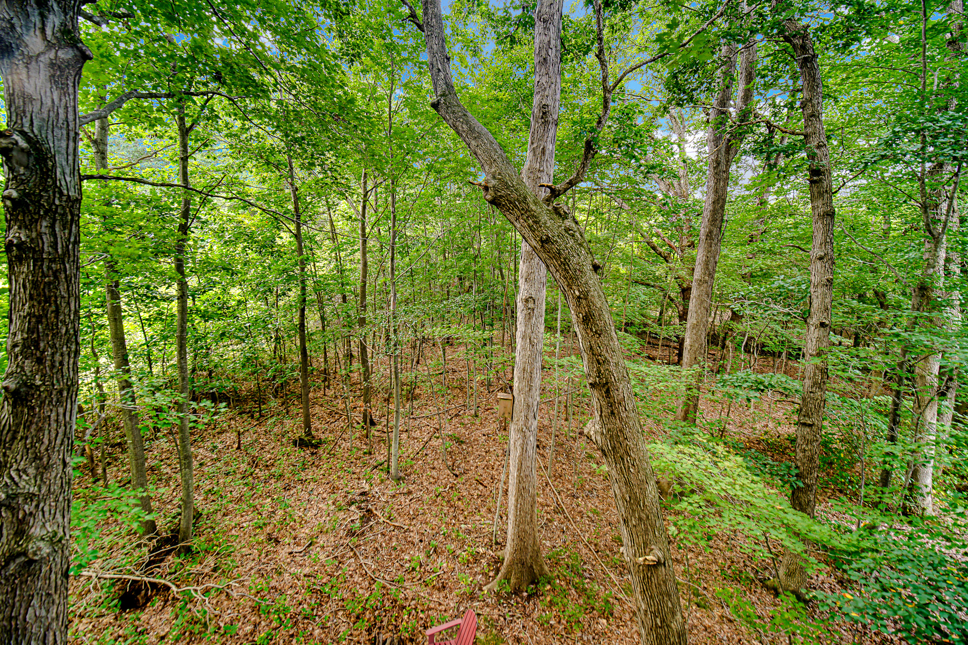  Nature-Centric Living in Michigan City - 物件實景