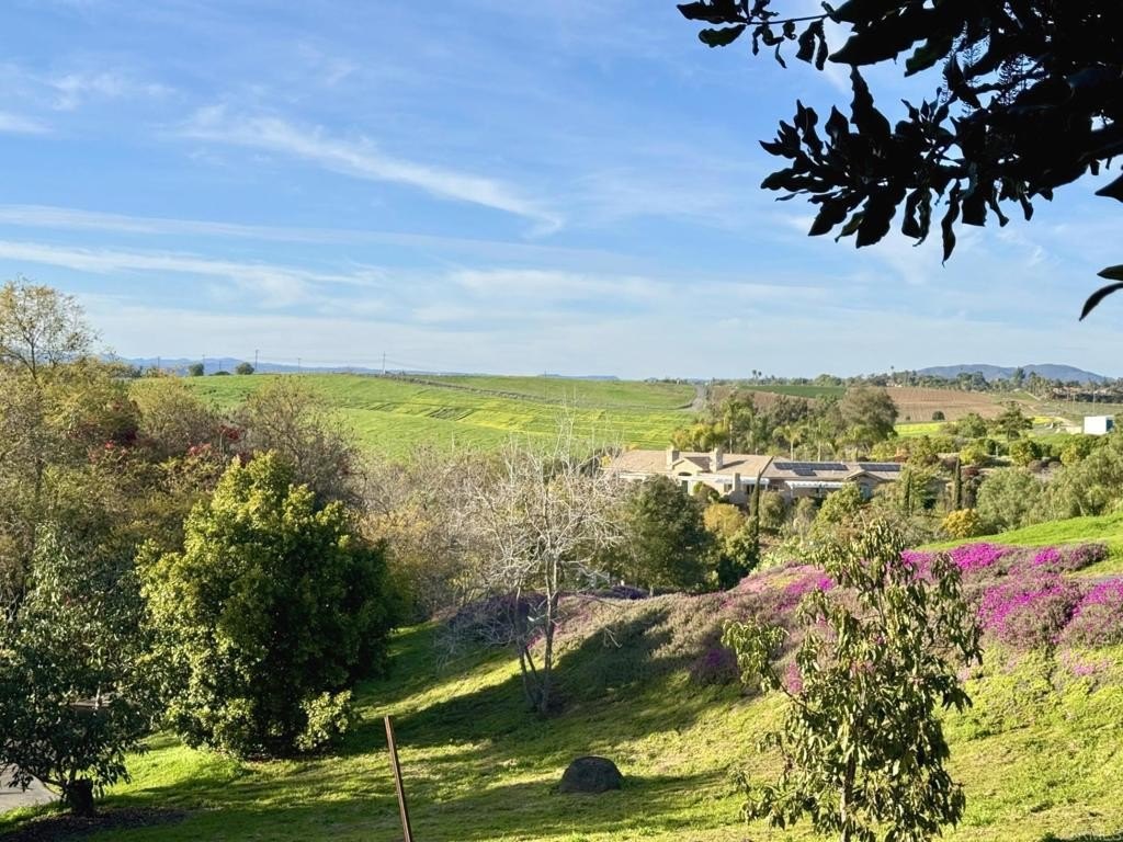 Fallbrook, California, 92028, United States, 3 Bedrooms Bedrooms, ,3 BathroomsBathrooms,Residential,For Sale,1828046