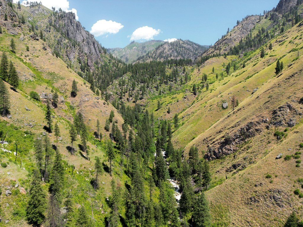 Riggins, Idaho, 83549, United States, 1 Bedroom Bedrooms, ,Residential,For Sale,1762926
