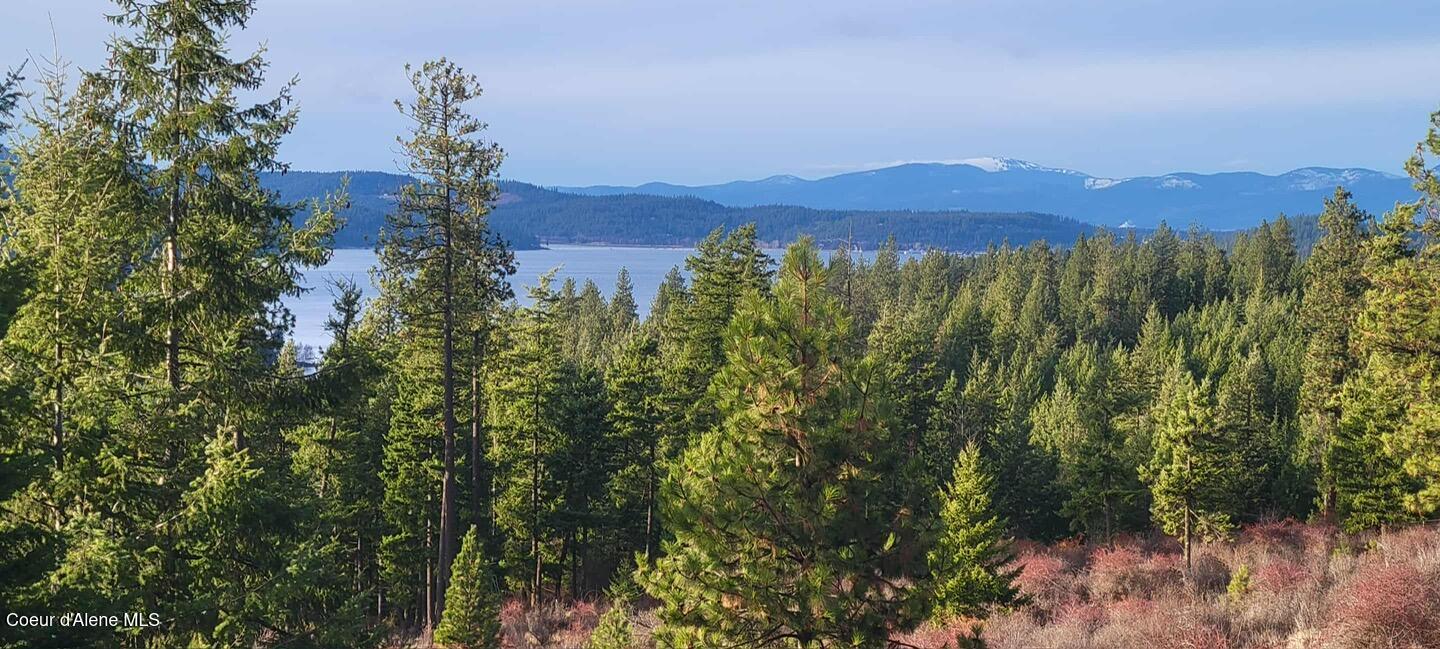 Harrison, Idaho, 83833, United States, 1 Bedroom Bedrooms, ,1 BathroomBathrooms,Residential,For Sale,1980772