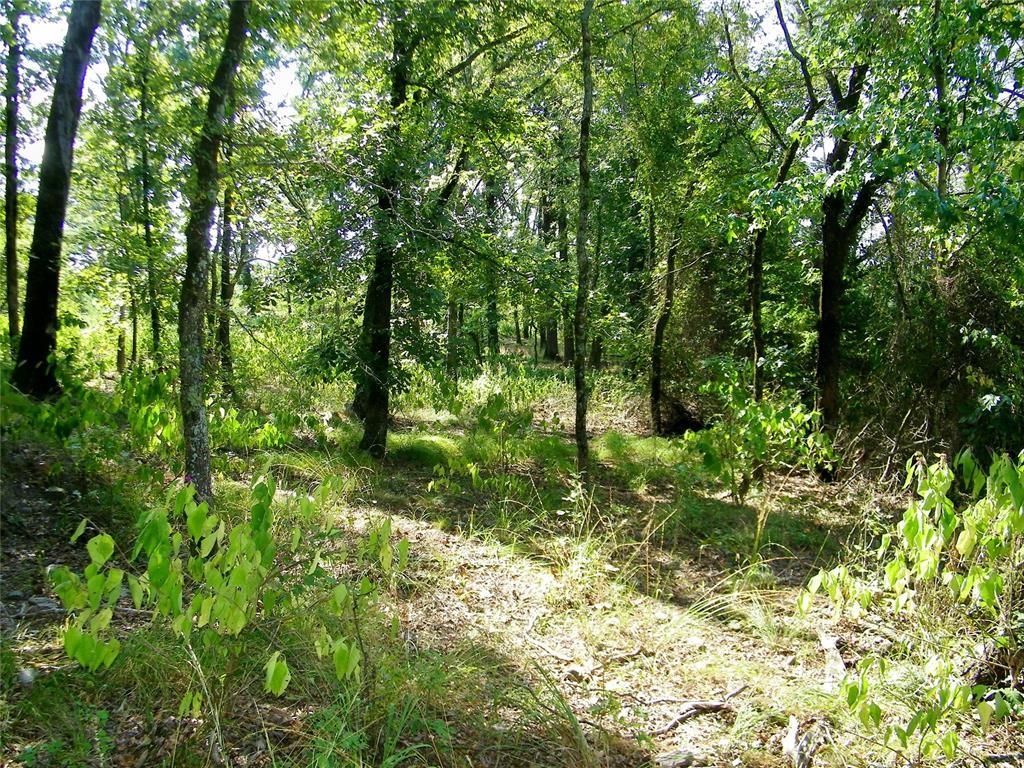 Broken Bow, Oklahoma, 74728, United States, ,Residential,For Sale,1979541