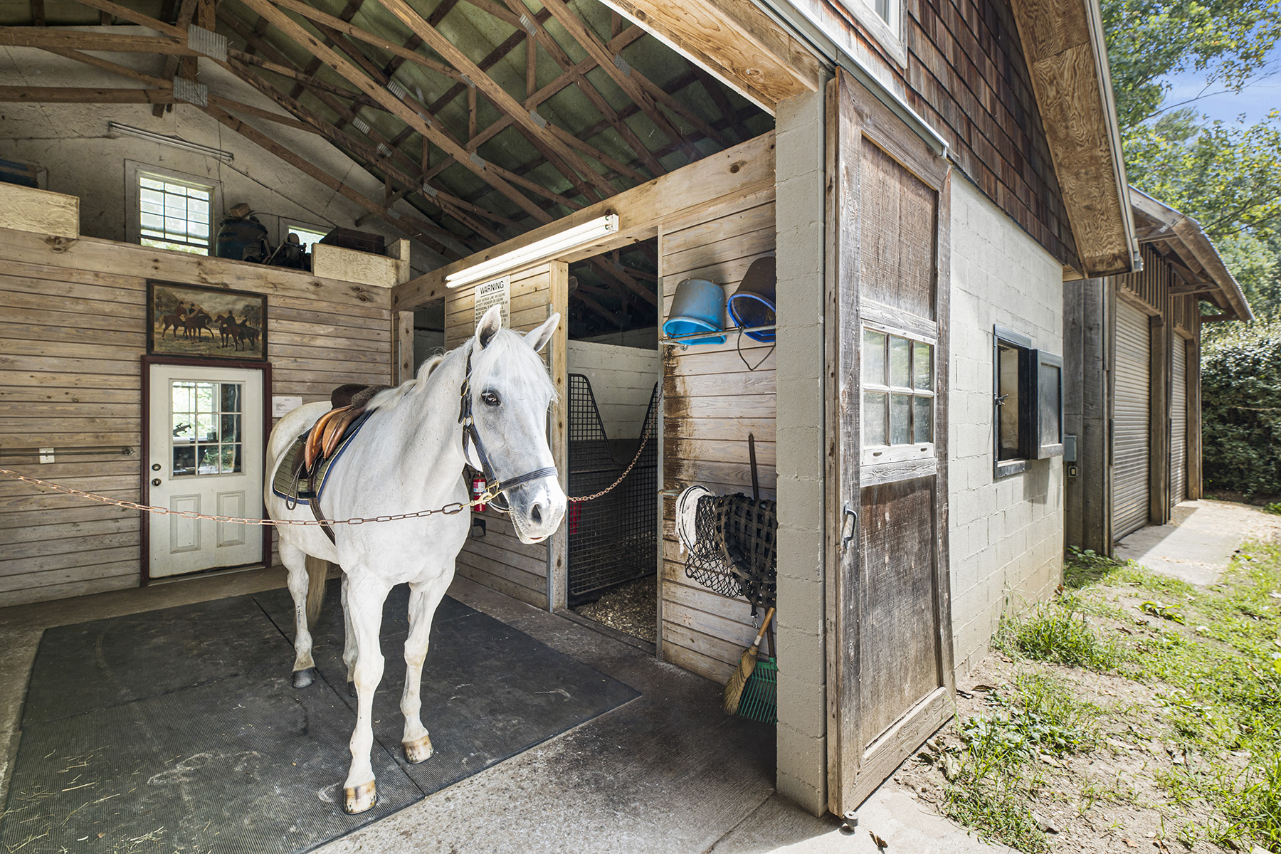  Absolute Perfection - 30± Acre Equestrian Farm with Rolling Pastureland - 物件實景