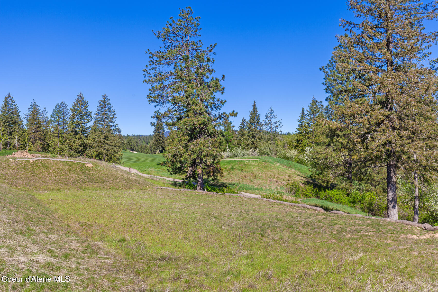 Coeur d'Alene, Idaho, 83814, United States, ,Land,For Sale,1975112
