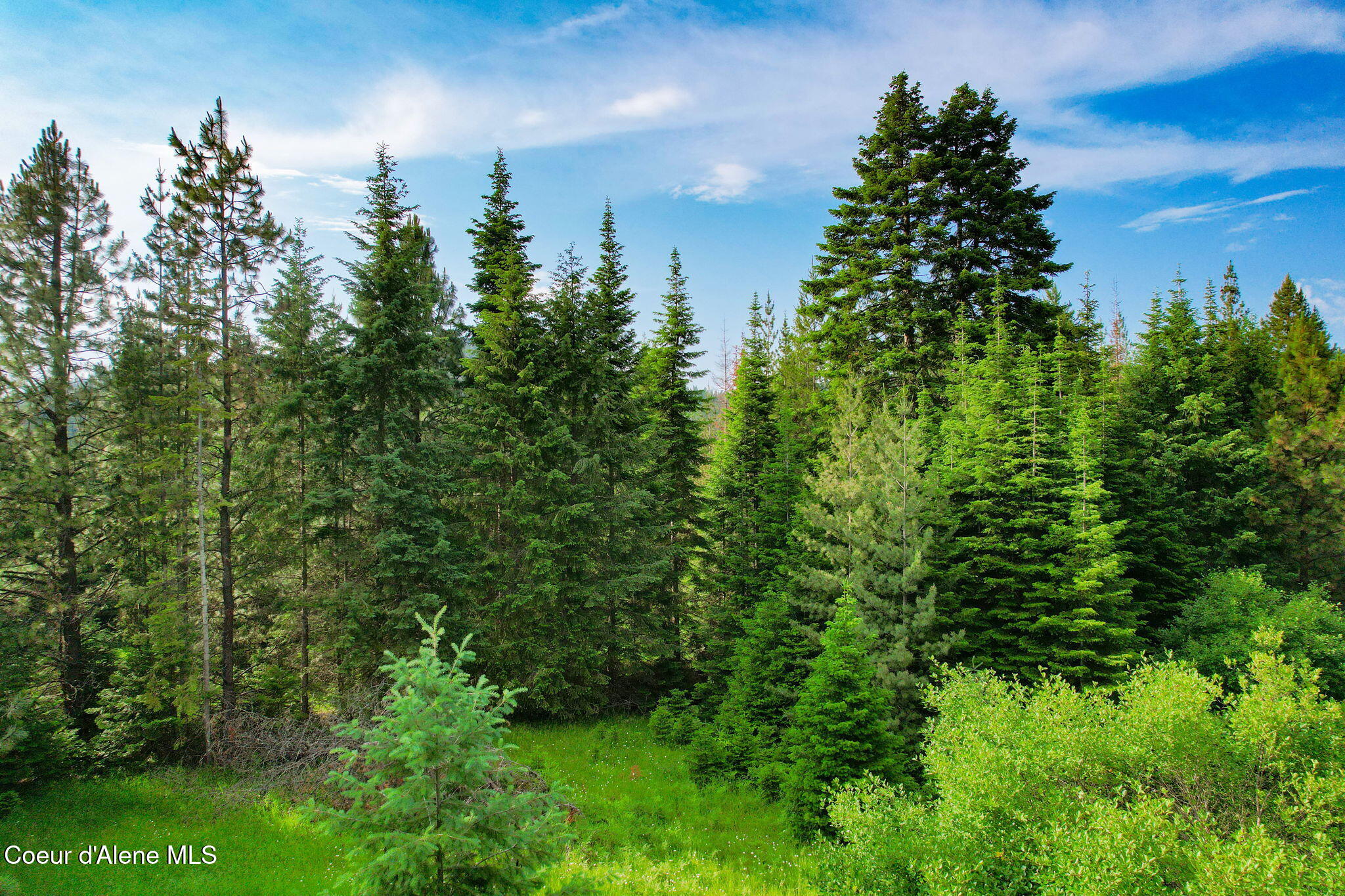 Coeur d'Alene, Idaho, 83814, United States, ,Residential,For Sale,1937421