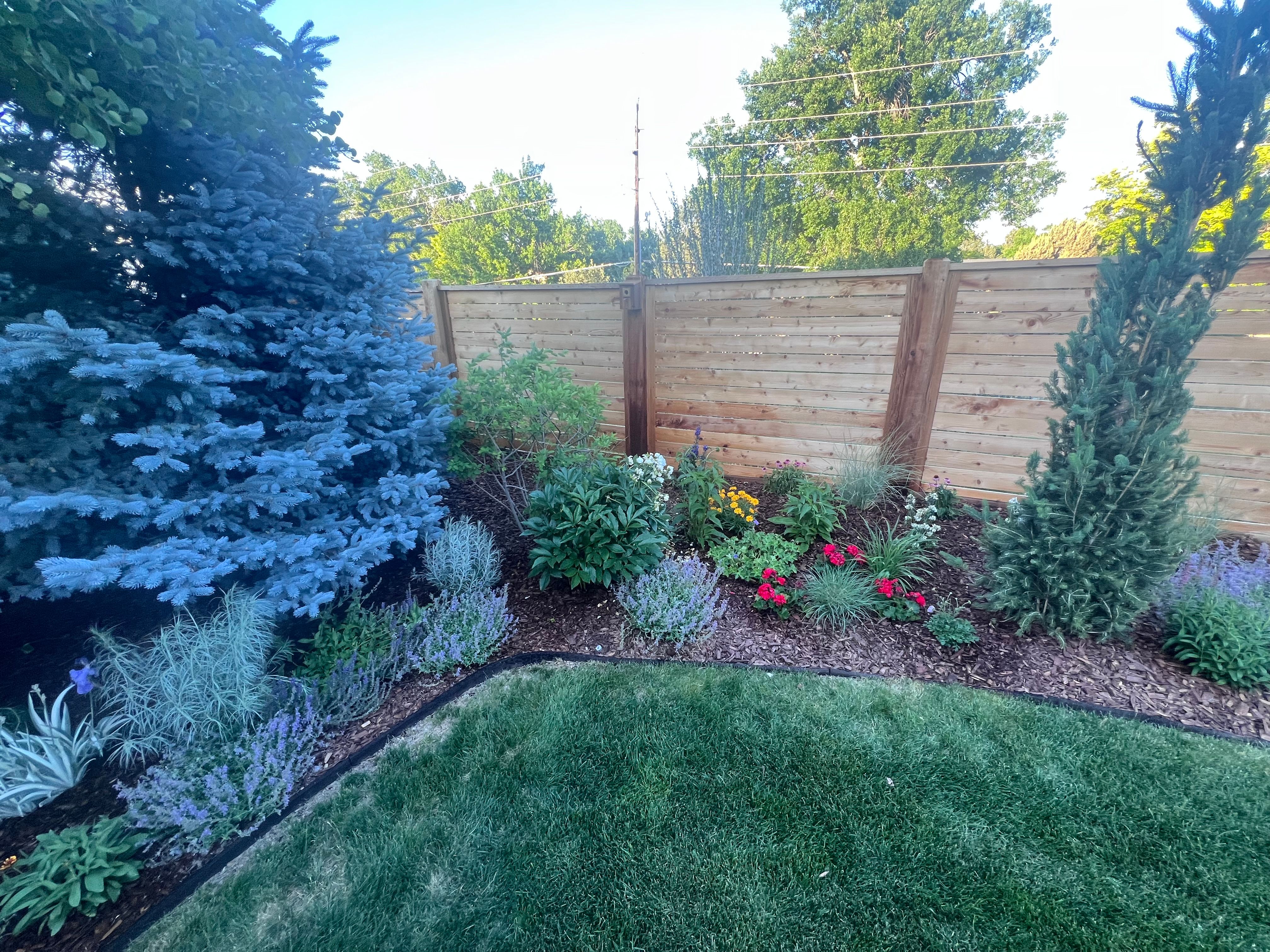  Thoughtfully  Updated and Move-In Ready - 物件實景