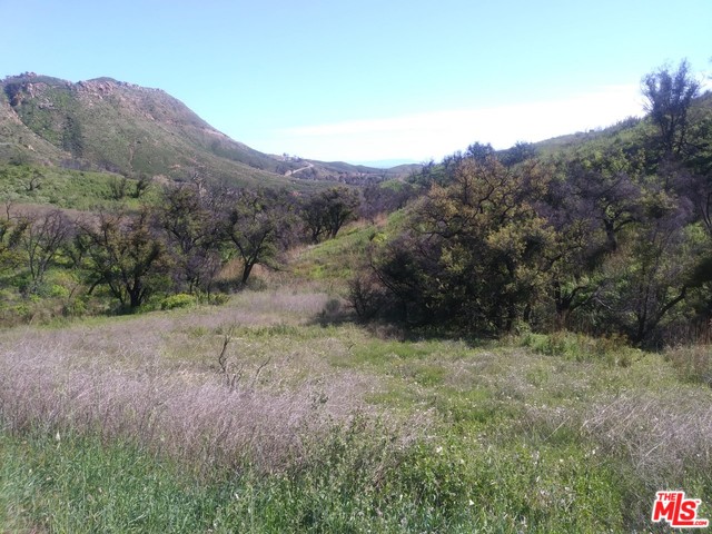 2517 Encinal Canyon Rd, Malibu, California, 90265, United States, ,Land,For Sale,2517 Encinal Canyon Rd,1435448