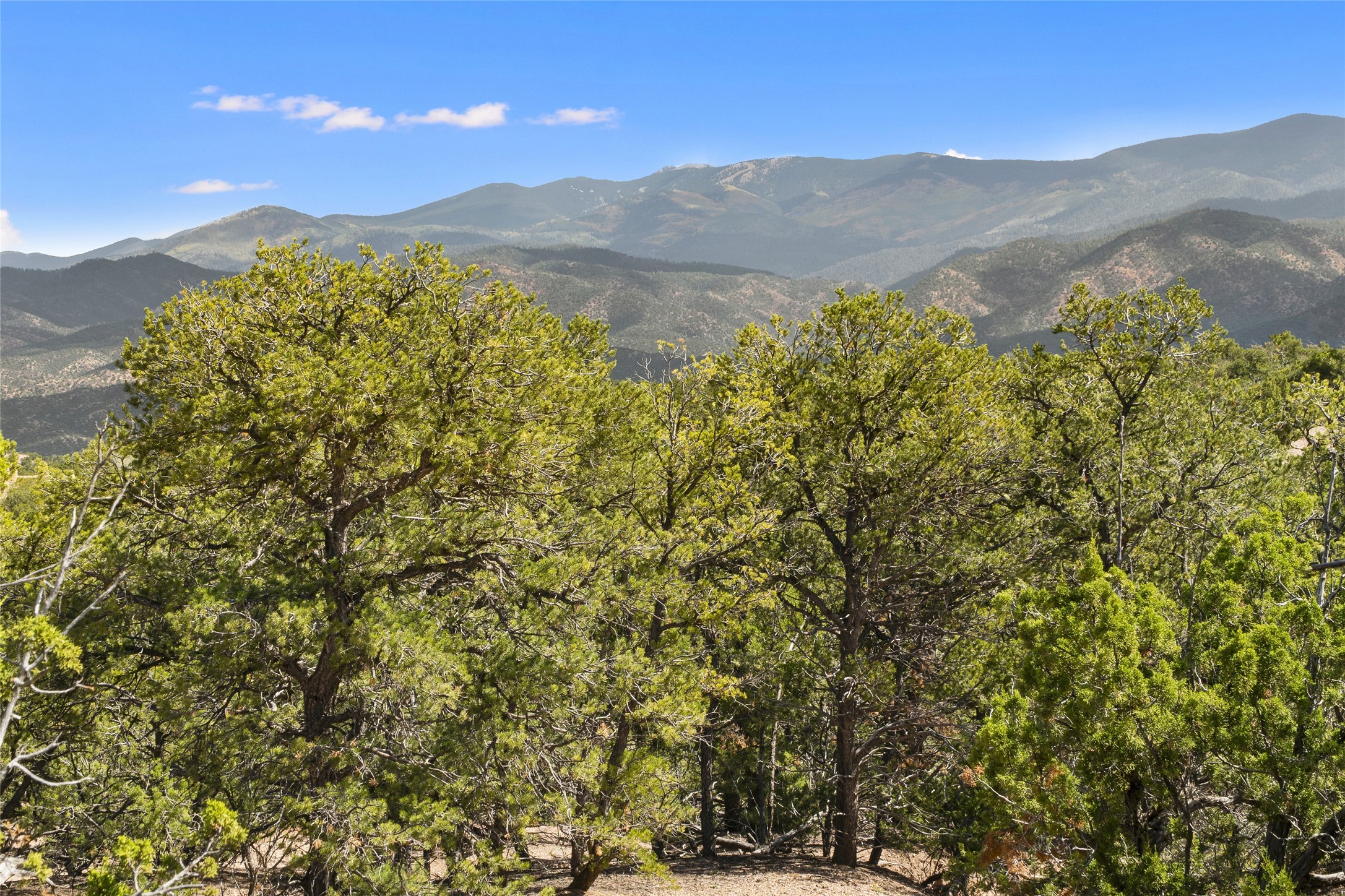  2901 Aspen View, Lot 185 - 物件實景