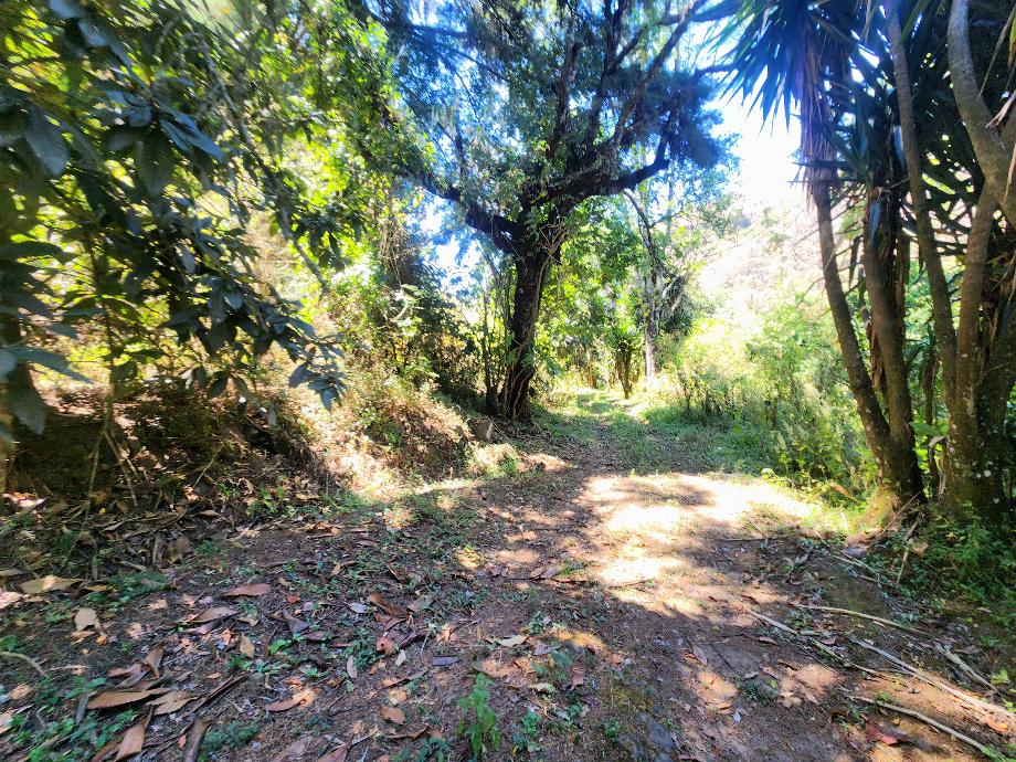 Temascaltepec, Estado de méxico, 51300, Mexico, 1 Bedroom Bedrooms, ,Residential,For Sale,1807405