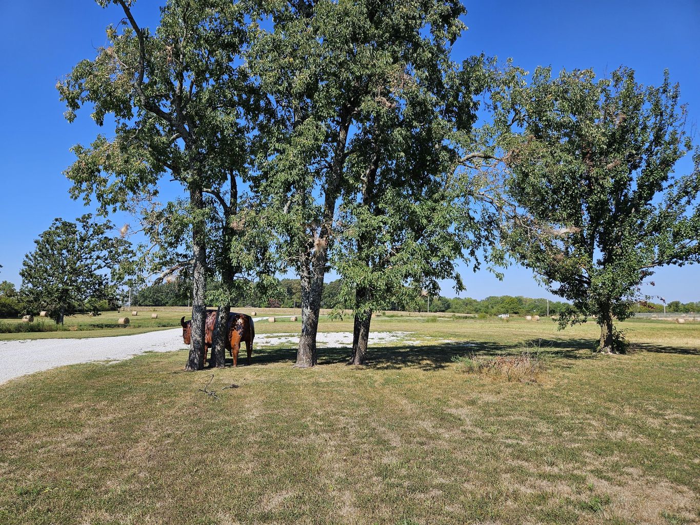 Marionville, Missouri, 65705, United States, 2 Bedrooms Bedrooms, ,2 BathroomsBathrooms,Residential,For Sale,1976770