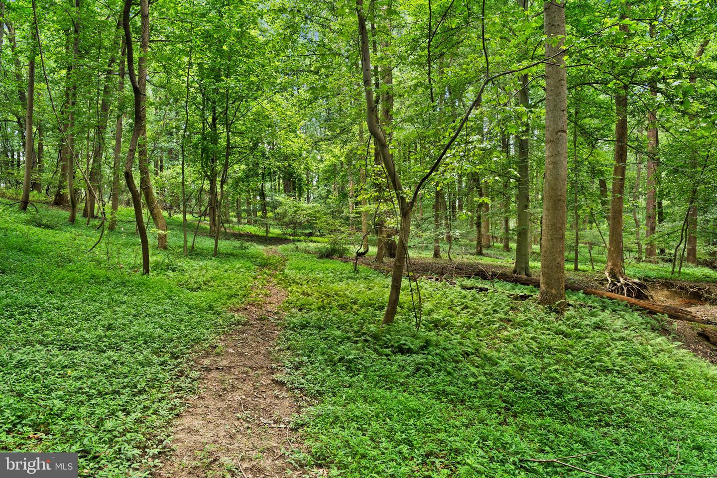 Randallstown, Maryland, 21133, United States, 1 Bedroom Bedrooms, ,1 BathroomBathrooms,Residential,For Sale,1979274