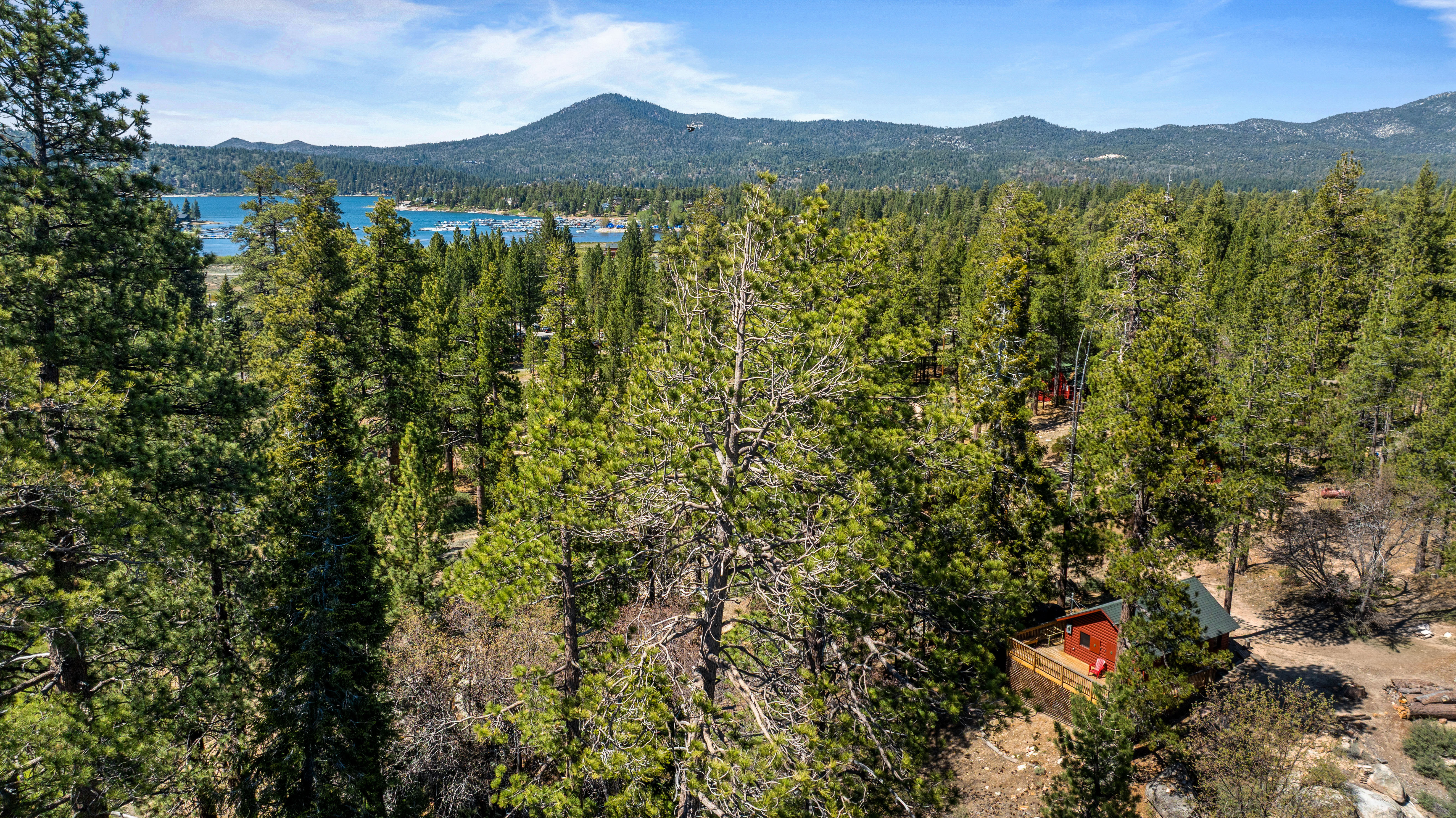  7 Pine Knot Avenue, Big Bear Lake, CA 92315 - 物件實景