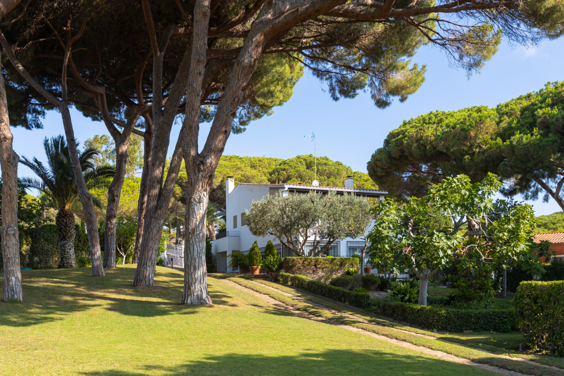  Large property in Llavaneres - Costa norte Barcelona - 物件實景