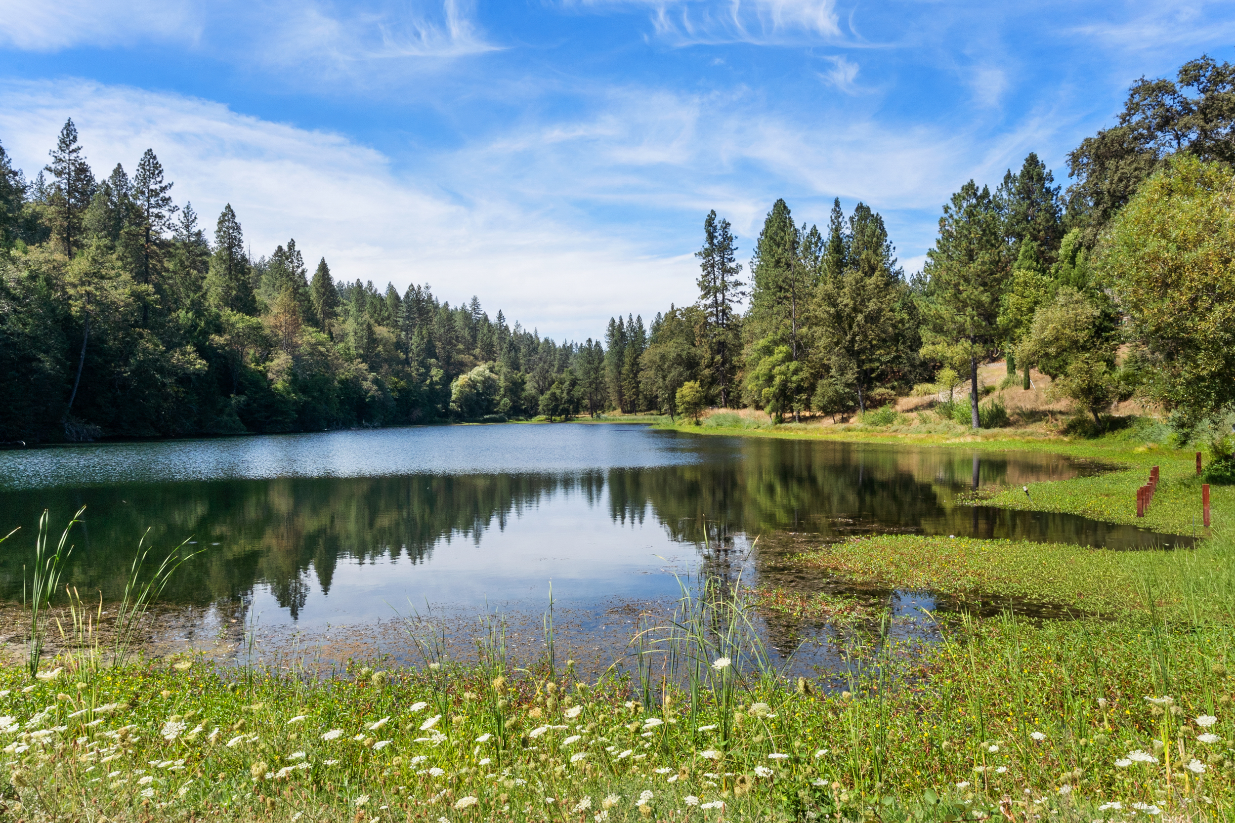  5671 Lago Lane, Garden Valley, CA 95633 - 物件實景