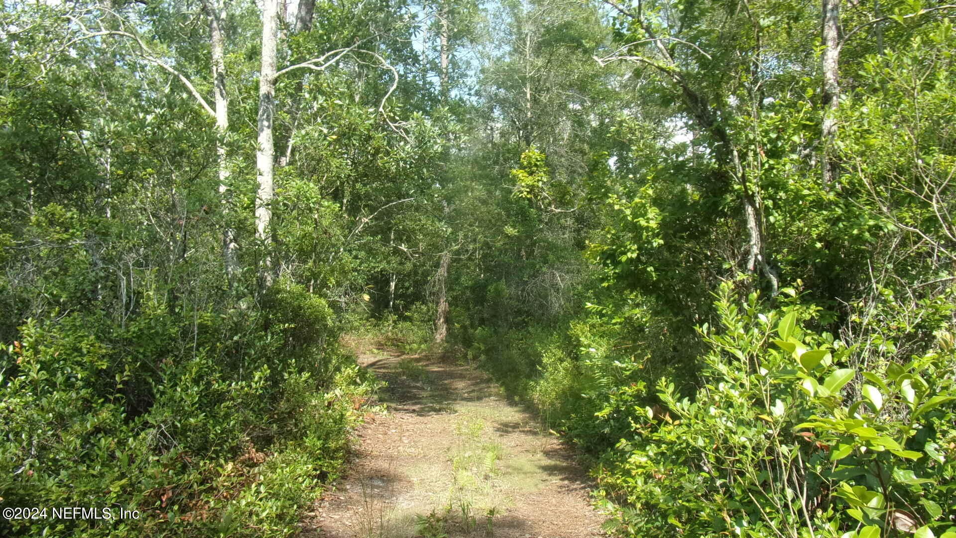Palatka, Florida, 32177, United States, ,Residential,For Sale,1924559